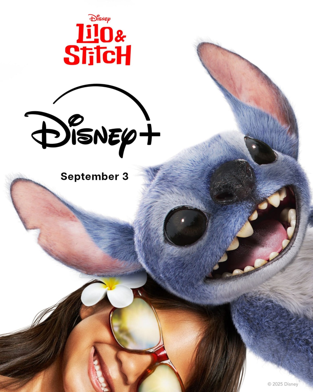 Extra Large Movie Poster Image for Lilo & Stitch (#19 of 19)