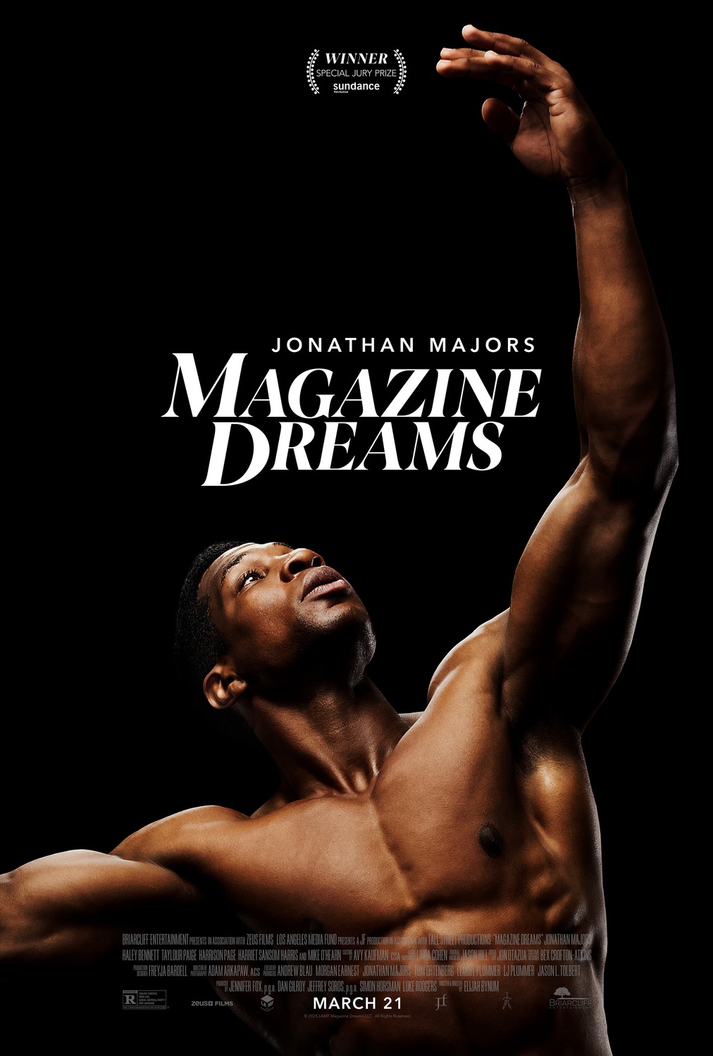 Extra Large Movie Poster Image for Magazine Dreams 