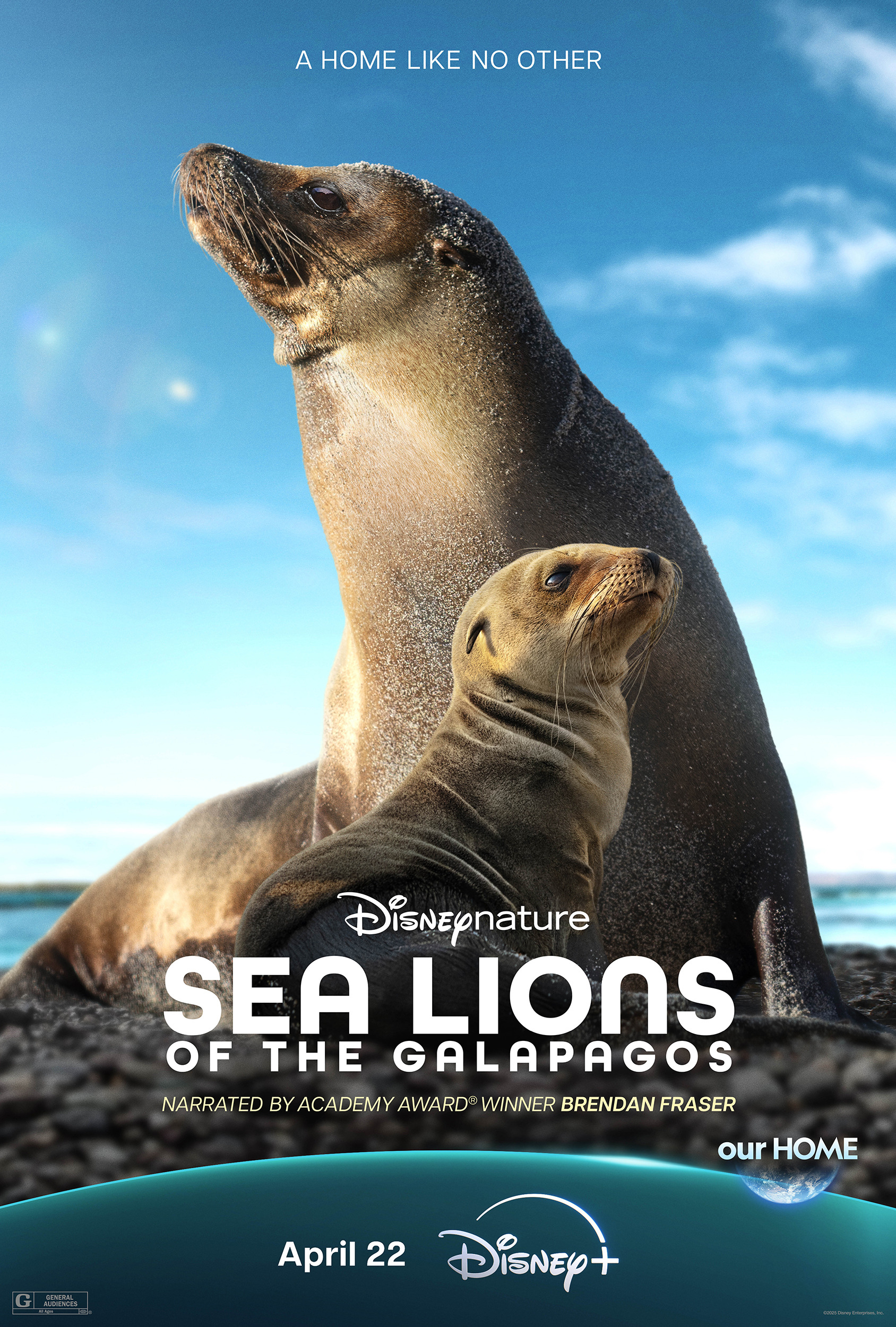 Mega Sized Movie Poster Image for Sea Lions of the Galapagos 
