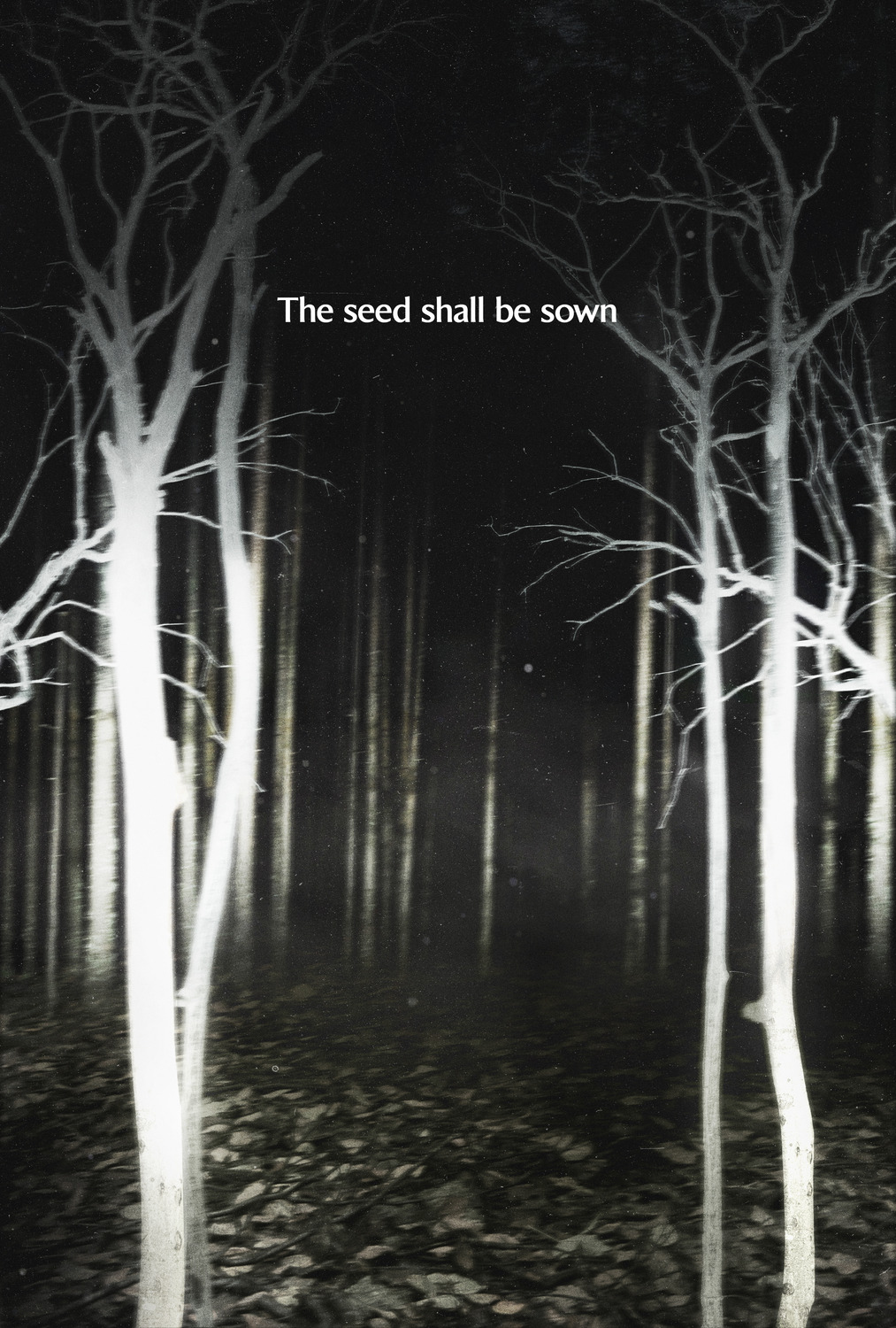 Extra Large Movie Poster Image for Shelby Oaks (#5 of 7)