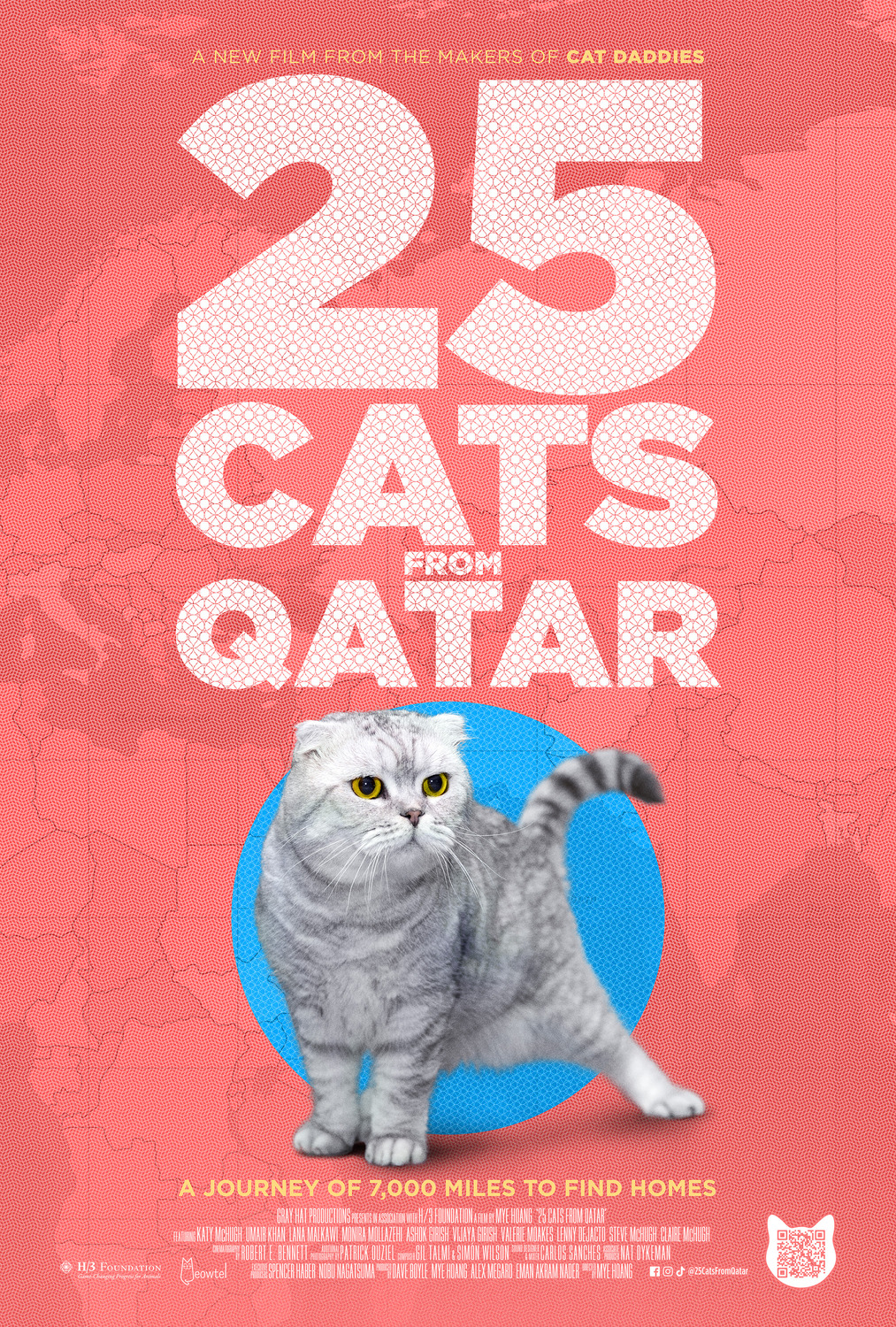 Extra Large Movie Poster Image for 25 Cats from Qatar (#1 of 2)