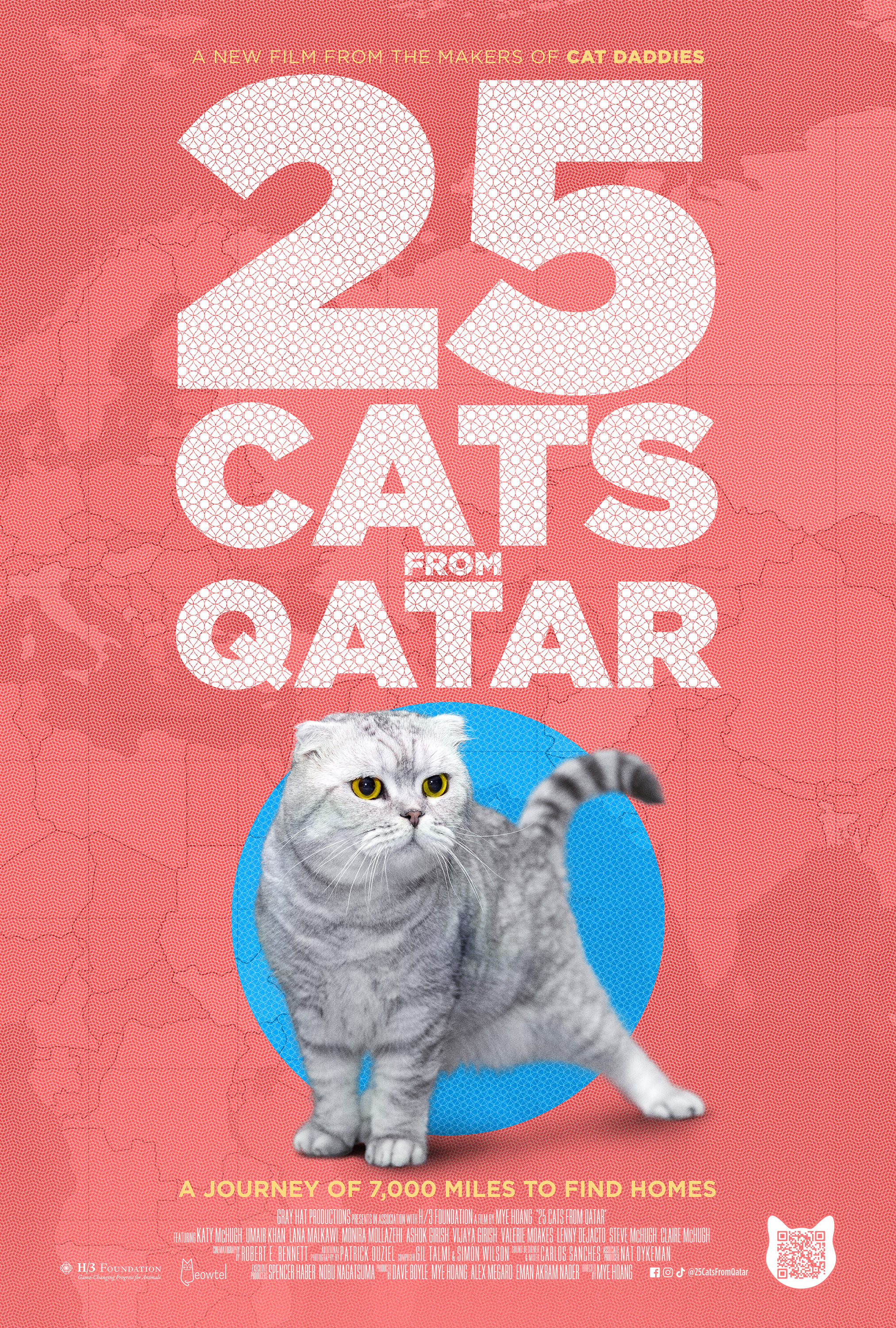 Mega Sized Movie Poster Image for 25 Cats from Qatar (#1 of 2)