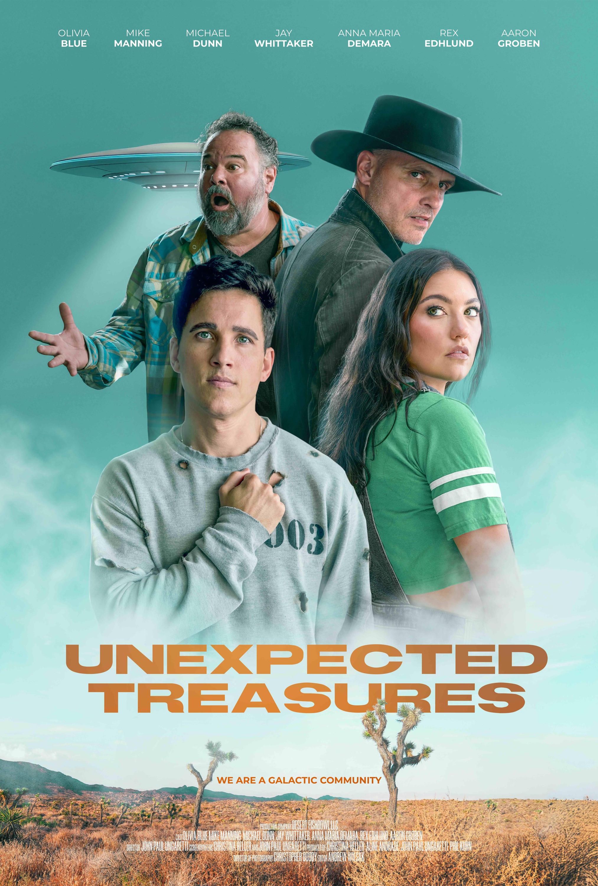 Mega Sized Movie Poster Image for Unexpected Treasures 