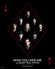 Now You See Me: Now You Don't (2025) Thumbnail