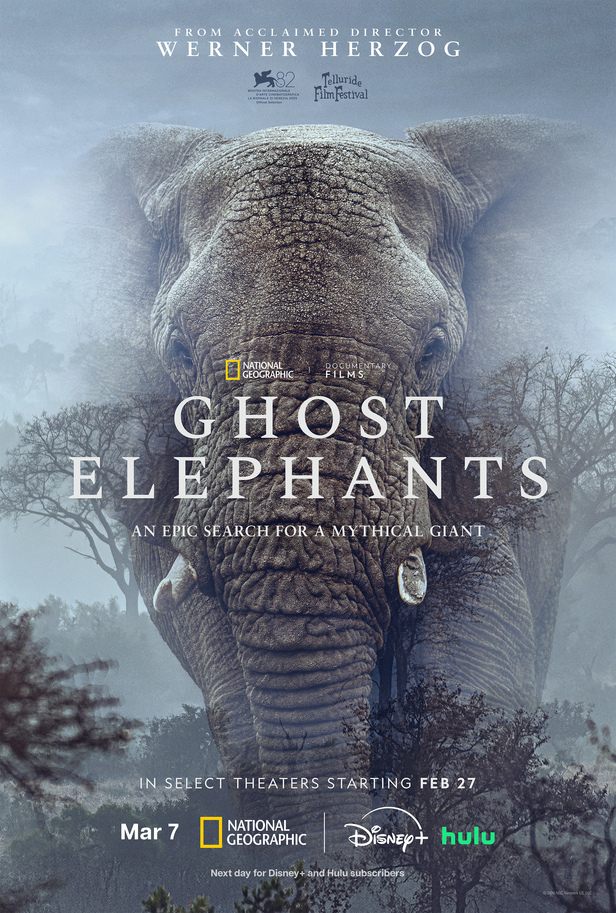 Mega Sized Movie Poster Image for Ghost Elephants 