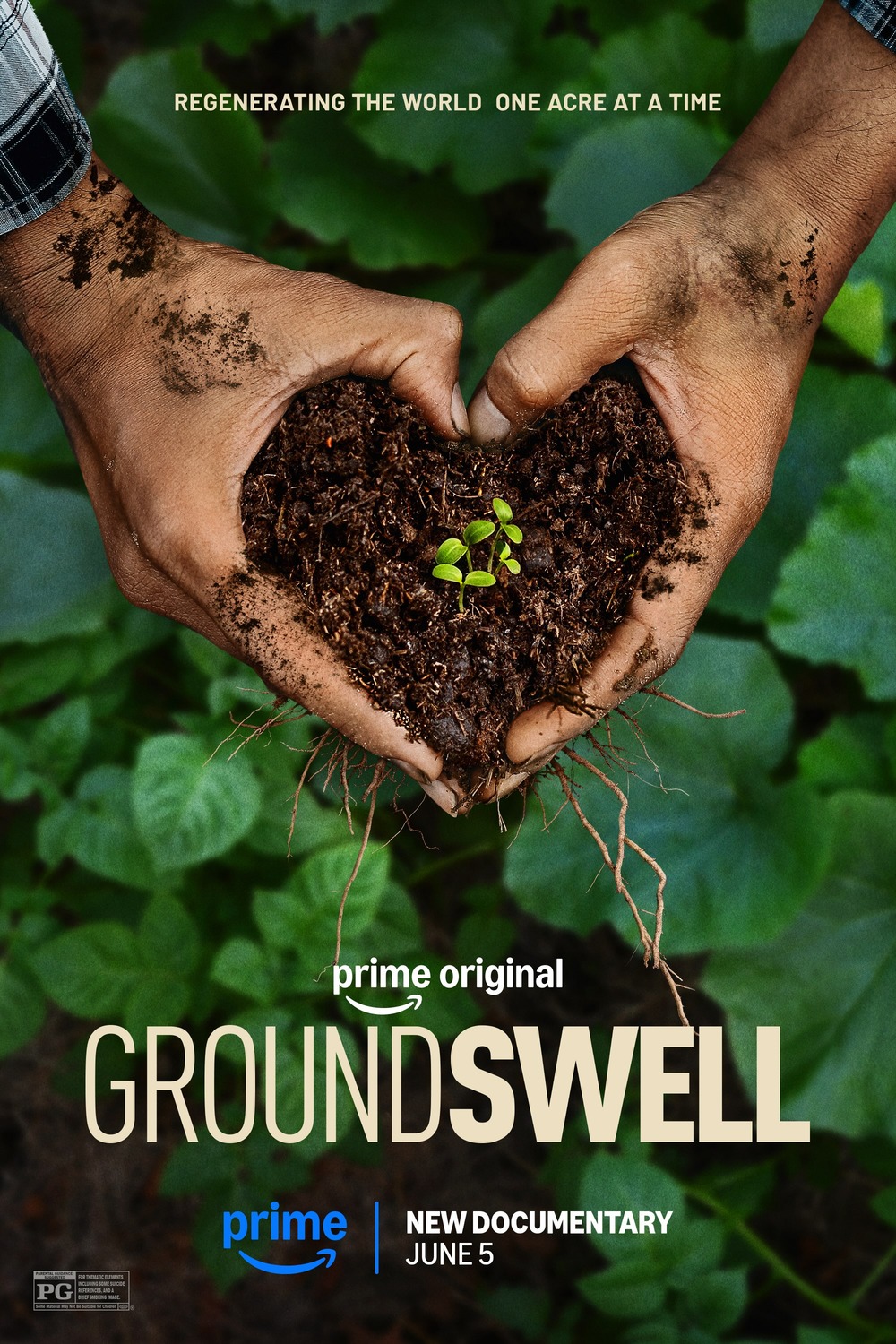 Extra Large Movie Poster Image for Groundswell 