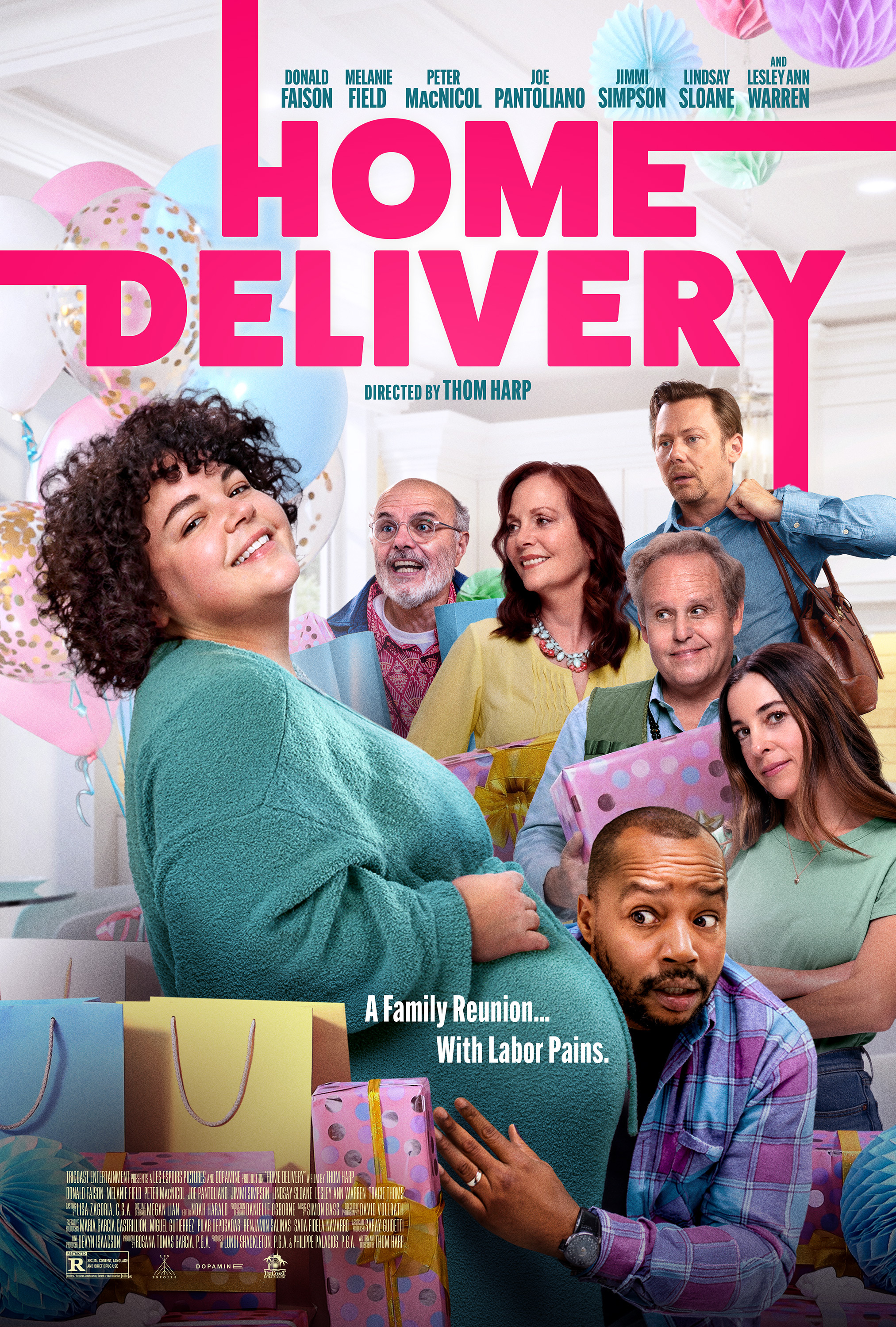 Mega Sized Movie Poster Image for Home Delivery 