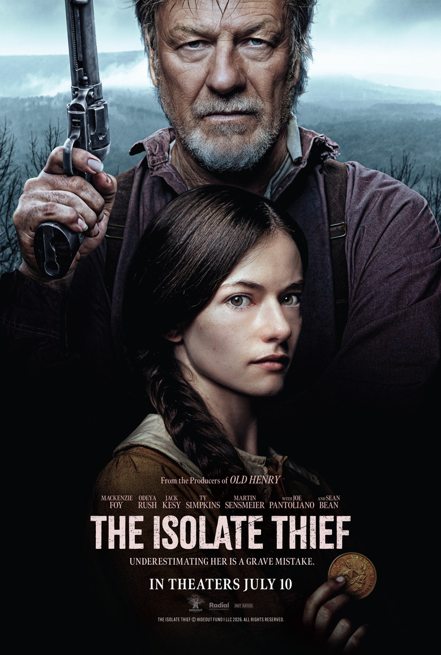 Extra Large Movie Poster Image for The Isolate Thief (#2 of 2)