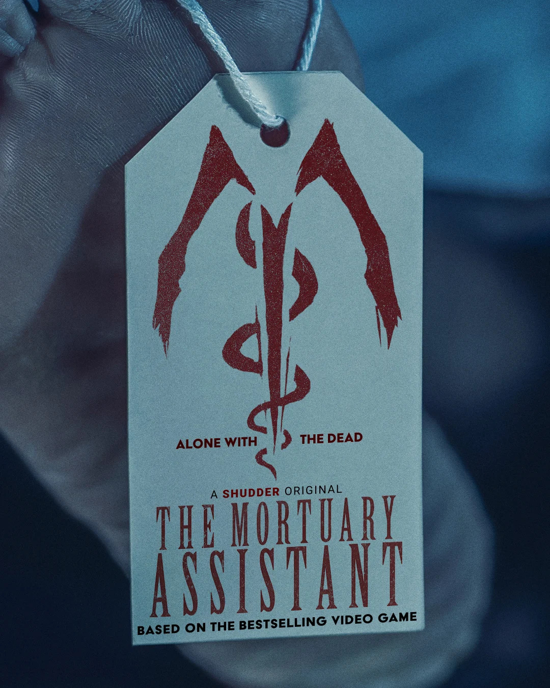 Extra Large Movie Poster Image for The Mortuary Assistant (#2 of 2)