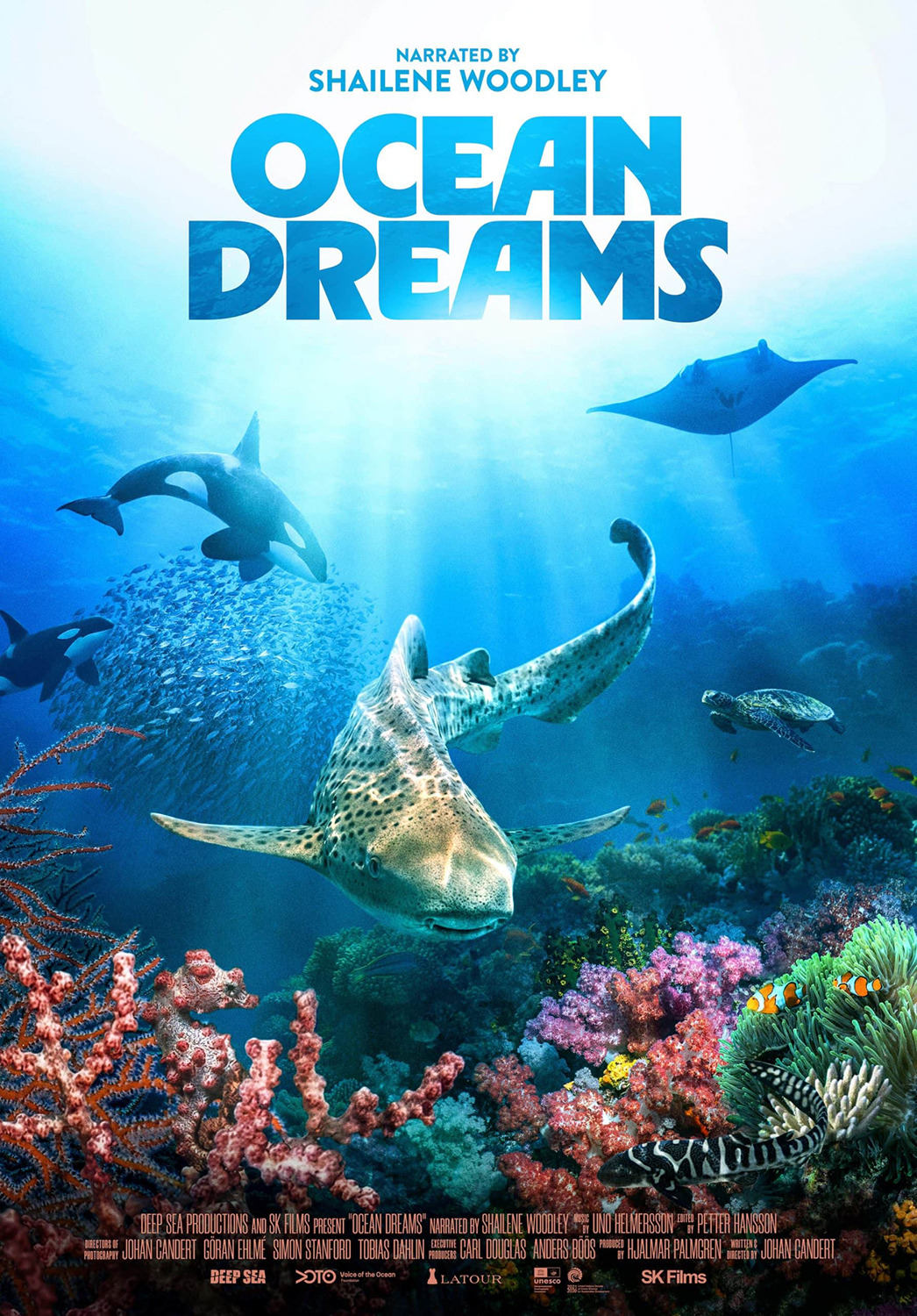 Extra Large Movie Poster Image for Ocean Dreams 
