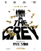 In the Grey (2026) Thumbnail