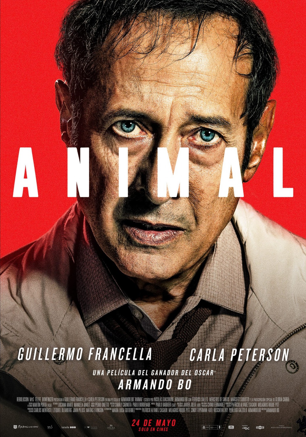 Extra Large Movie Poster Image for Animal 