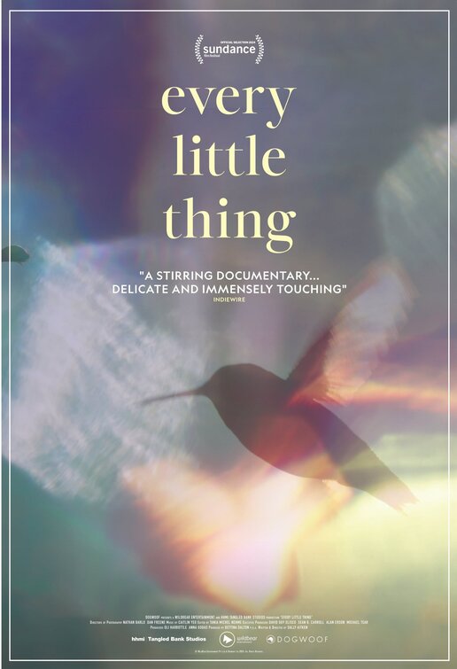 Every Little Thing Movie Poster