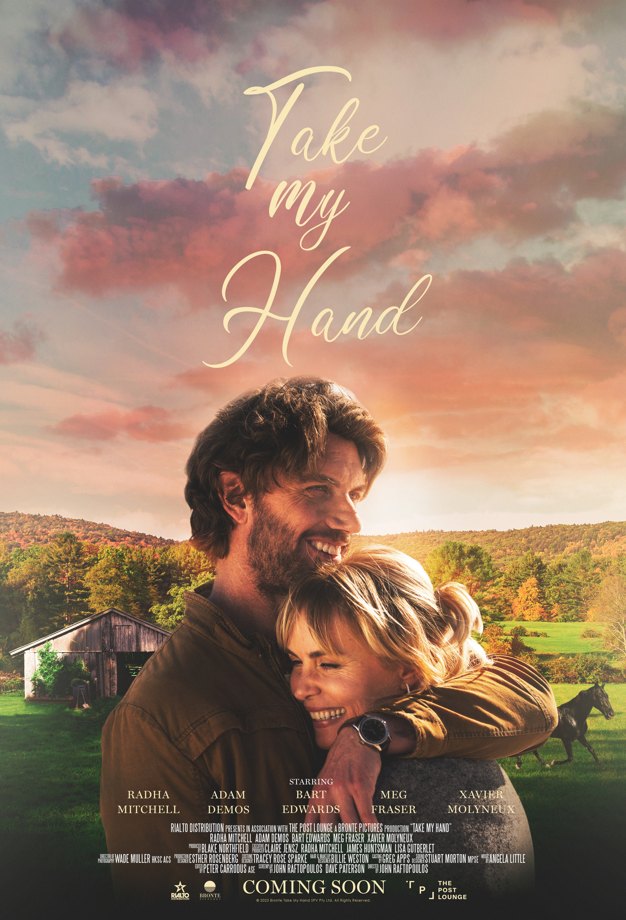 Mega Sized Movie Poster Image for Take My Hand 