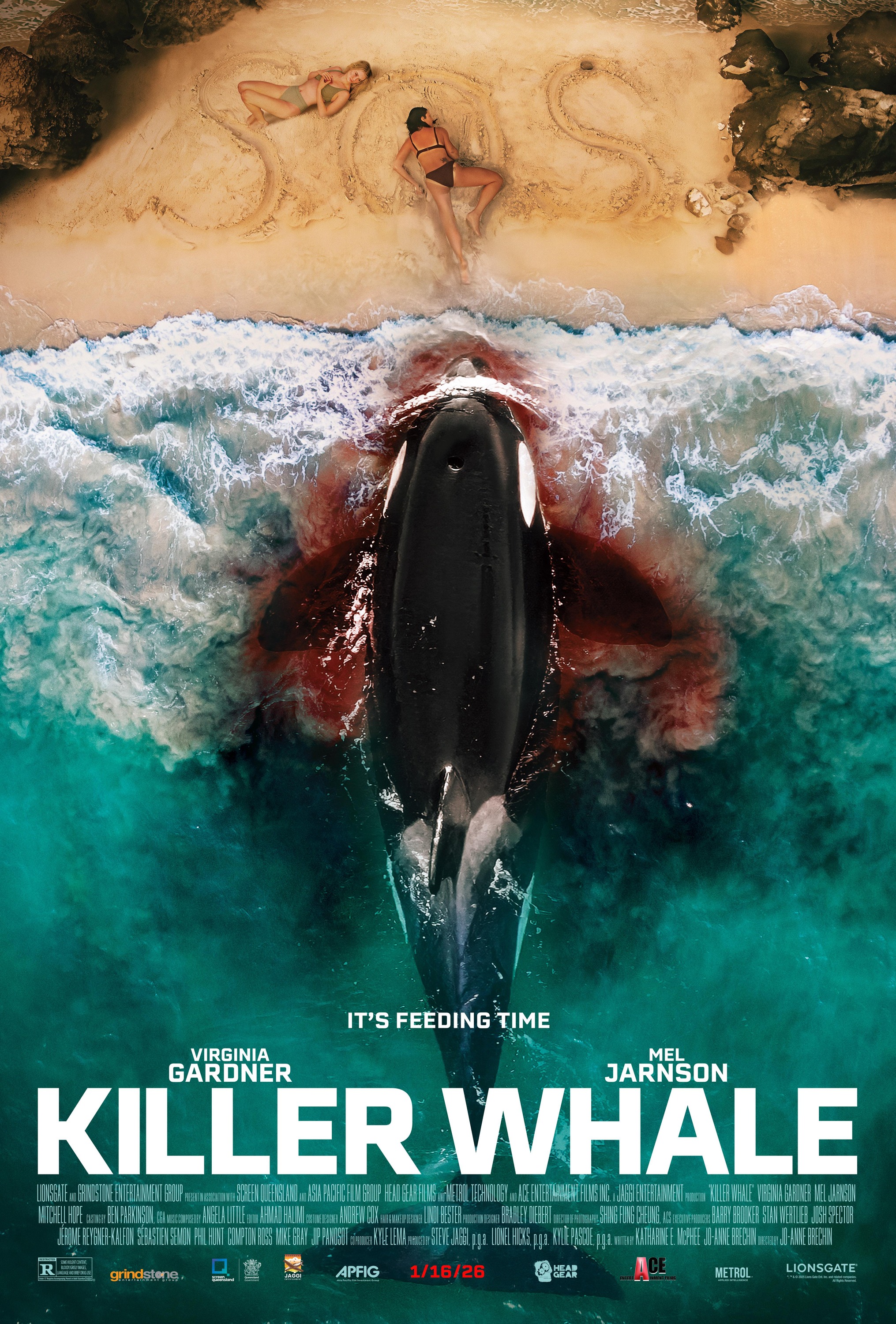 Mega Sized Movie Poster Image for Killer Whale 