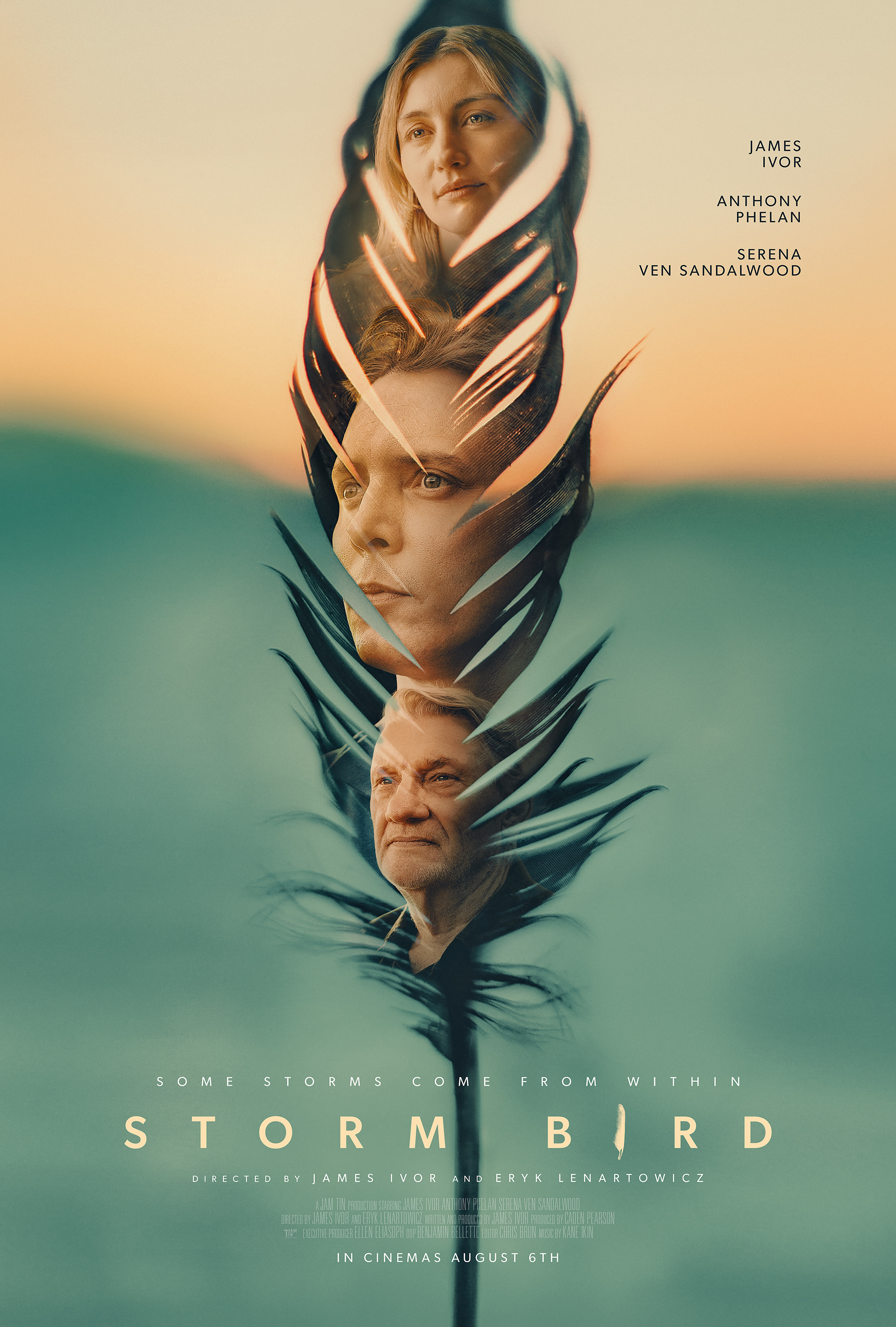 Mega Sized Movie Poster Image for Storm Bird 