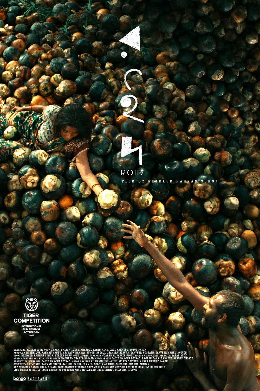 Extra Large Movie Poster Image for Roid 