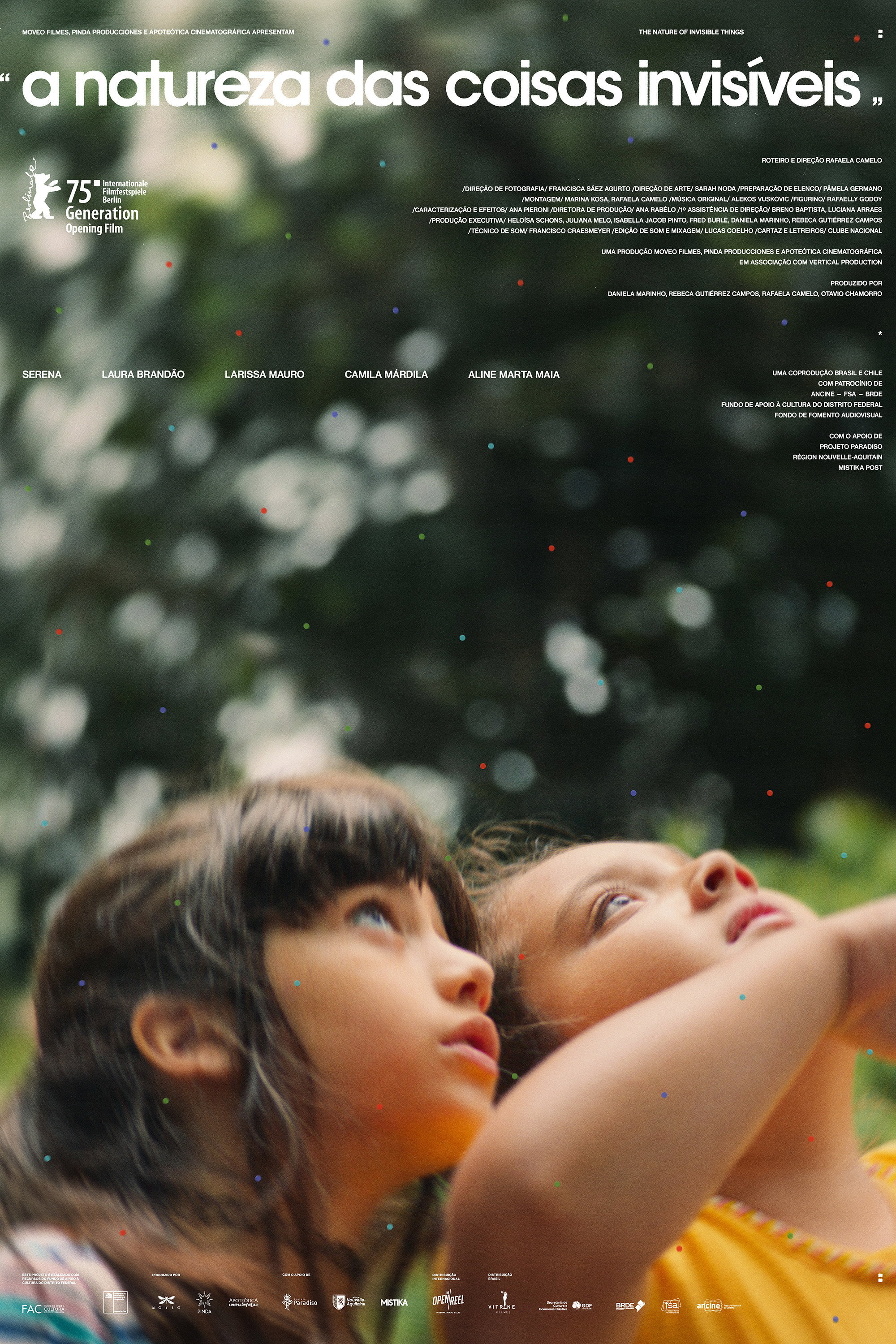 Mega Sized Movie Poster Image for A Natureza das Coisas Invisíveis 