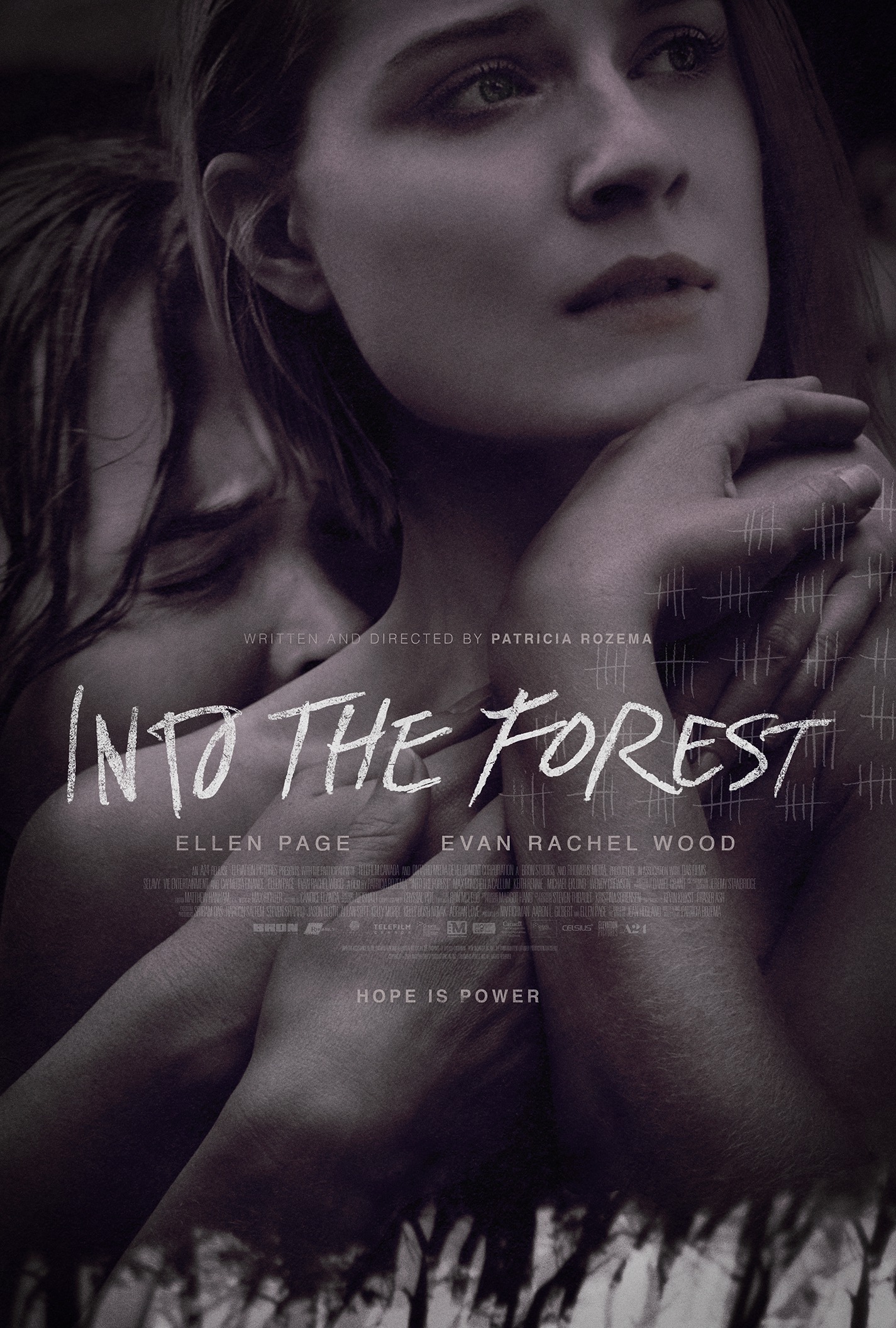Mega Sized Movie Poster Image for Into the Forest (#1 of 2)