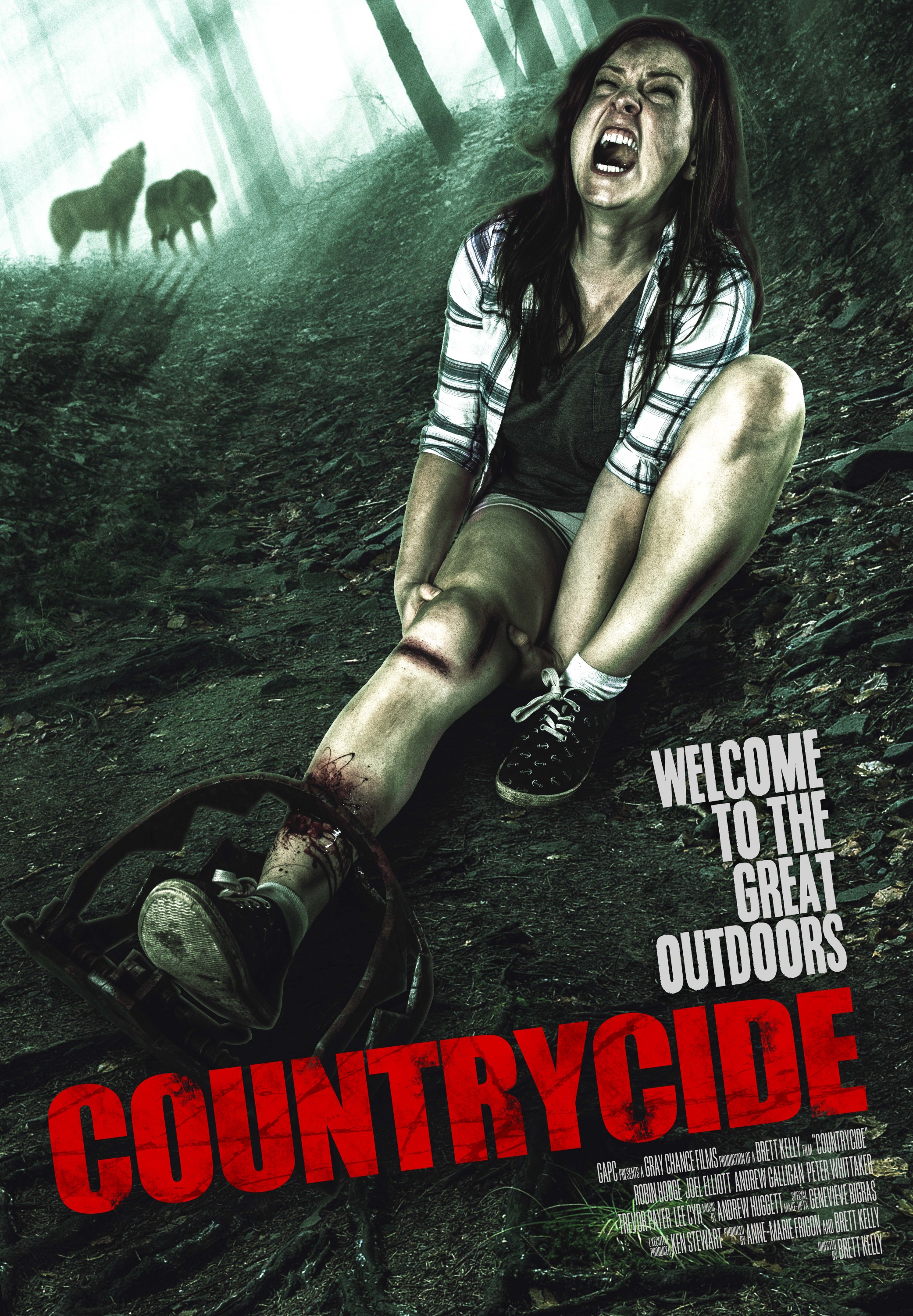 Mega Sized Movie Poster Image for Countrycide 
