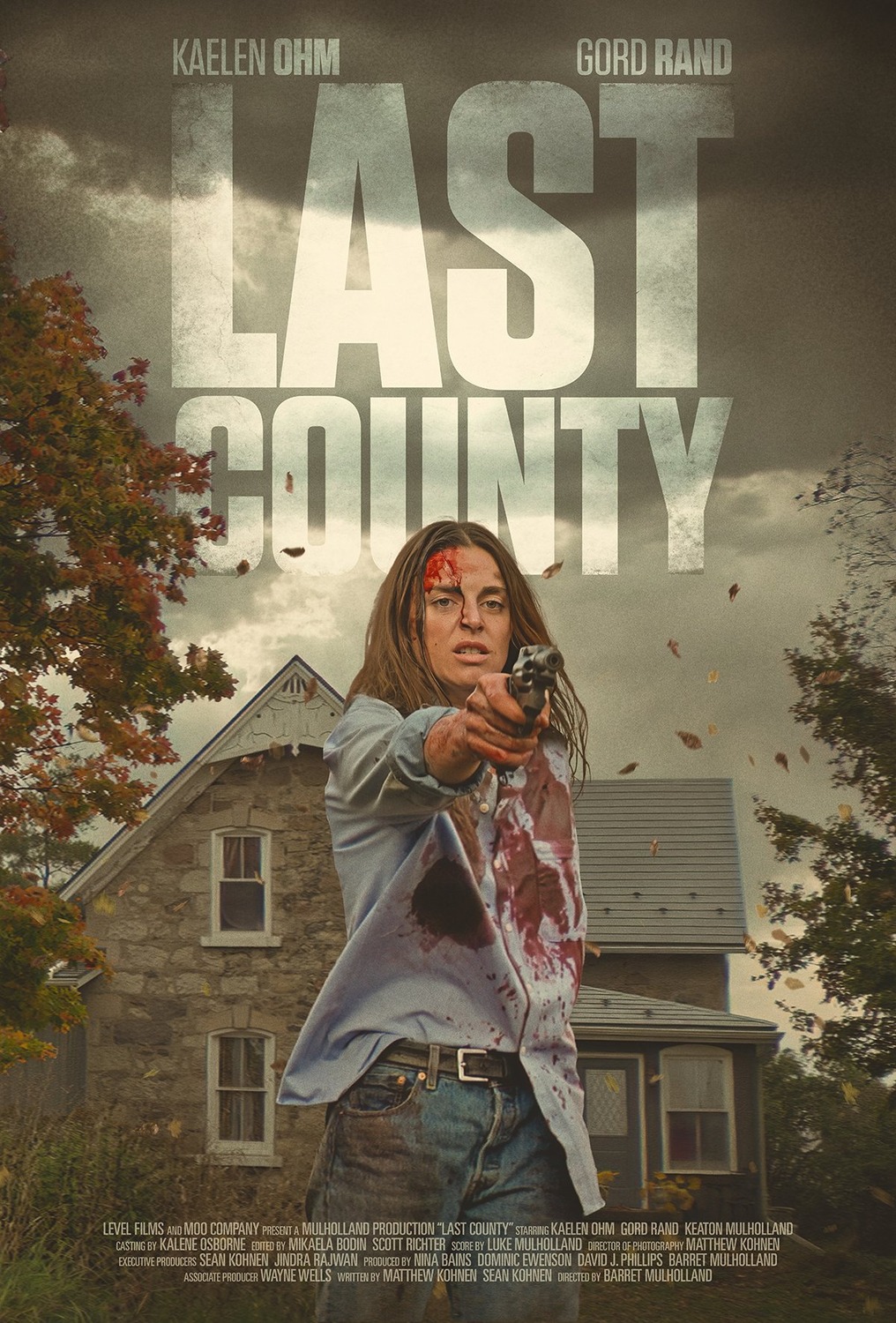 Extra Large Movie Poster Image for Last County 