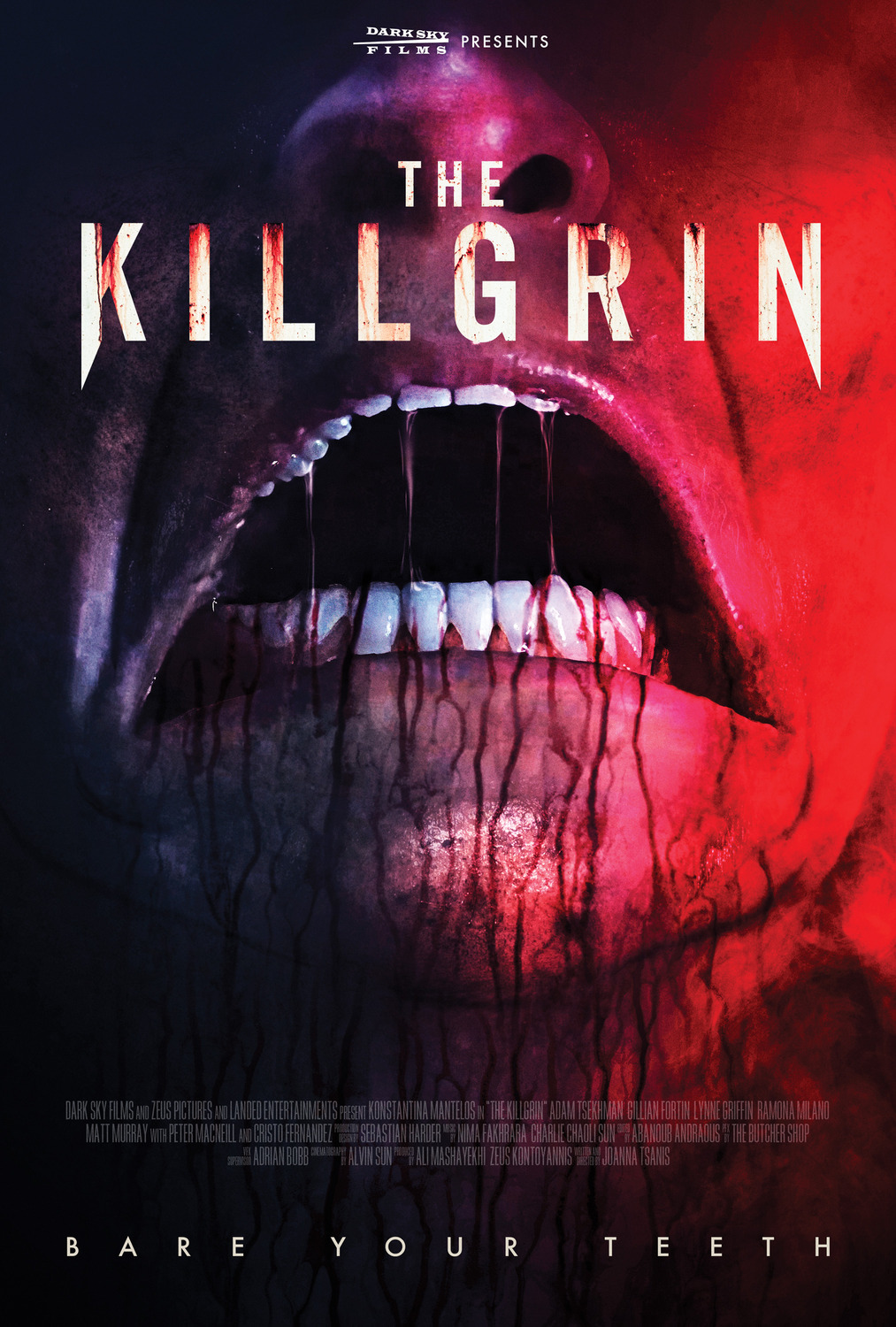 Extra Large Movie Poster Image for The Killgrin 