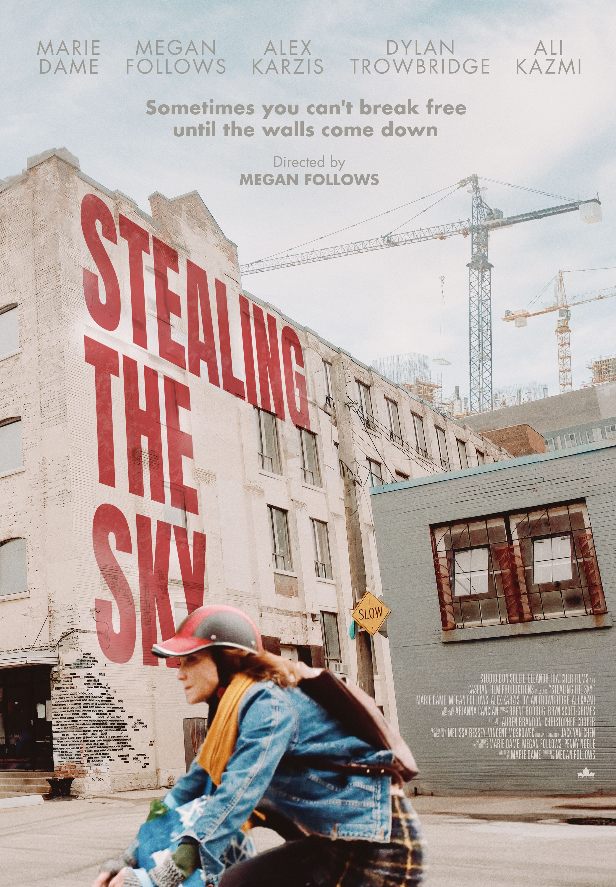 Mega Sized Movie Poster Image for Stealing the Sky 
