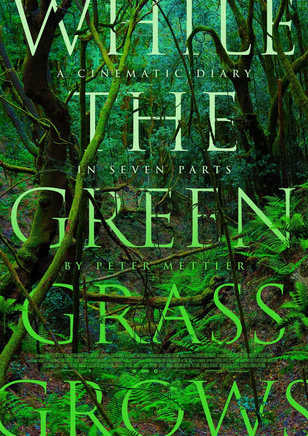 Extra Large Movie Poster Image for While the Green Grass Grows: A Diary in Seven Parts 