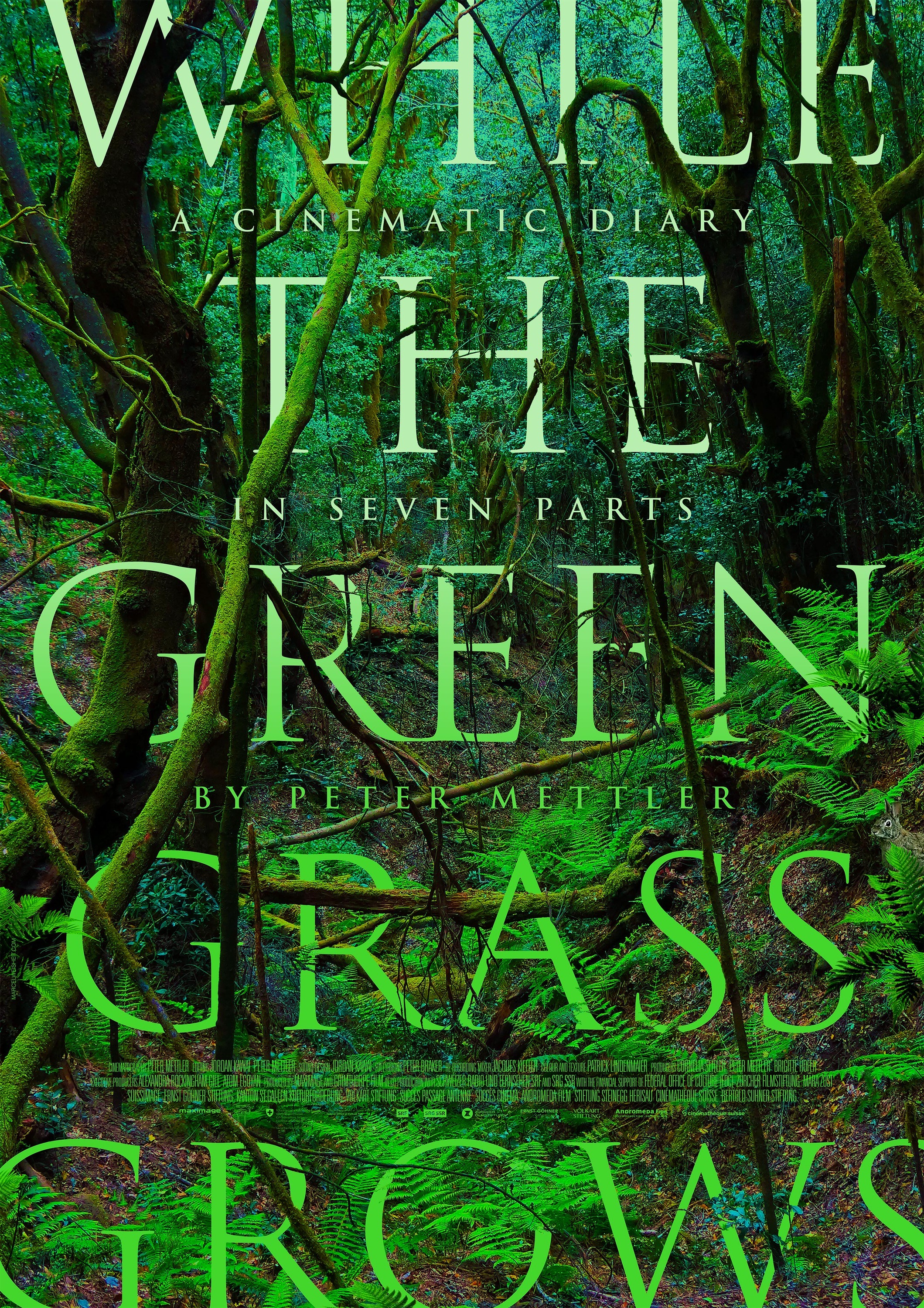 Mega Sized Movie Poster Image for While the Green Grass Grows: A Diary in Seven Parts 
