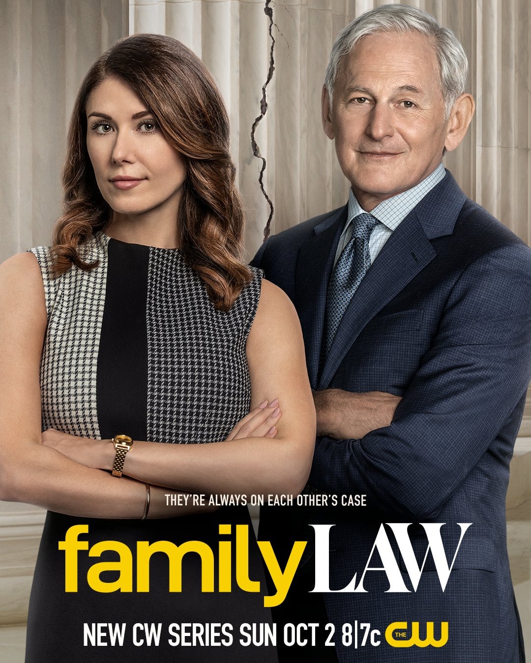 Extra Large TV Poster Image for Family Law 