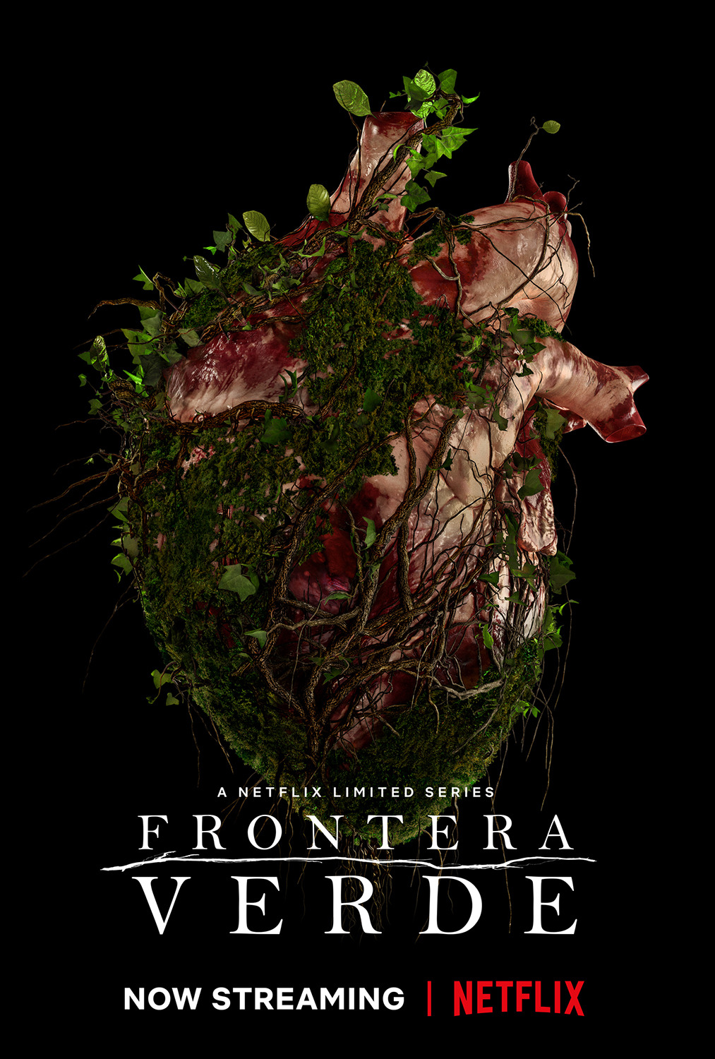 Extra Large TV Poster Image for Frontera Verde (#3 of 4)
