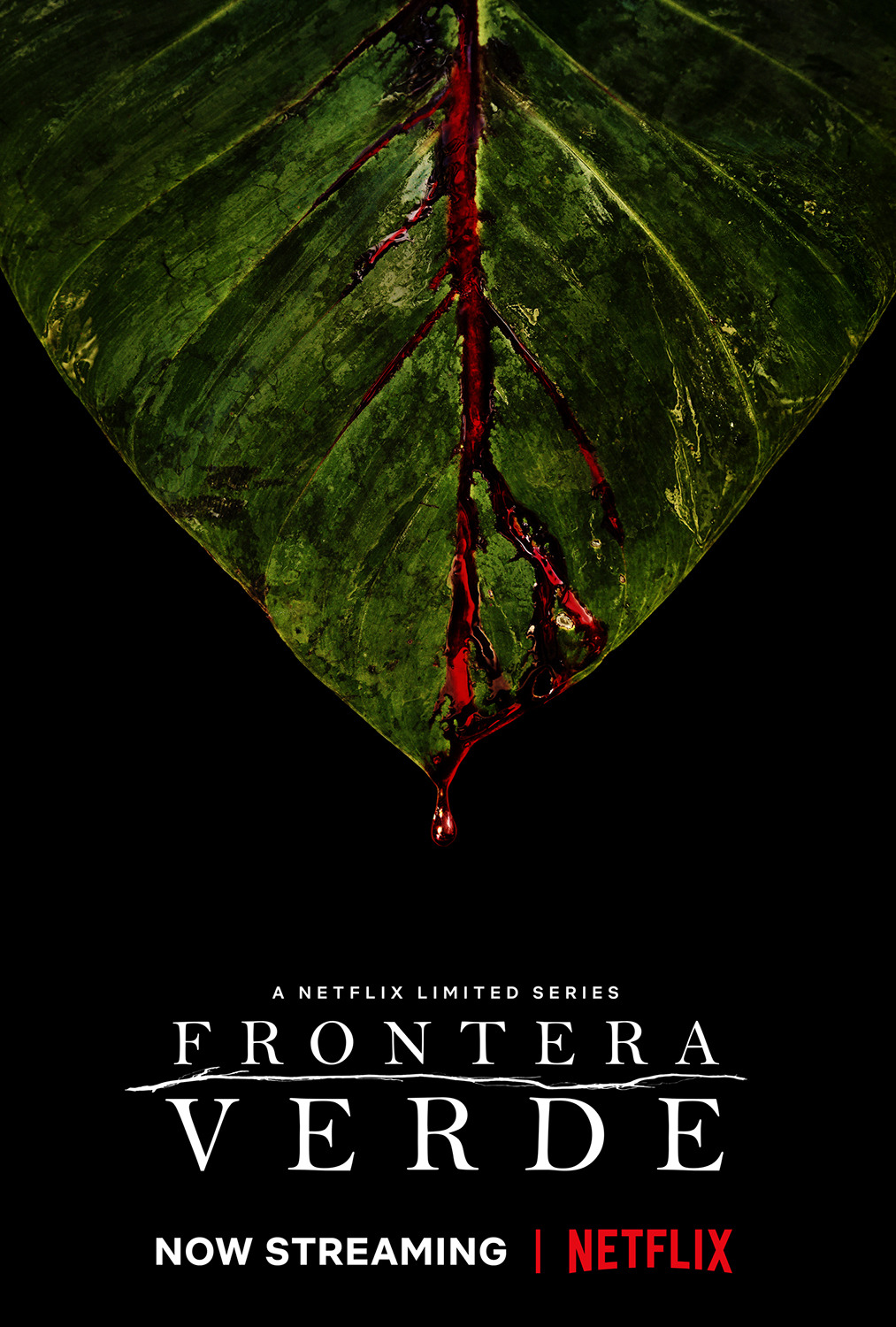 Extra Large Movie Poster Image for Frontera Verde (#4 of 4)