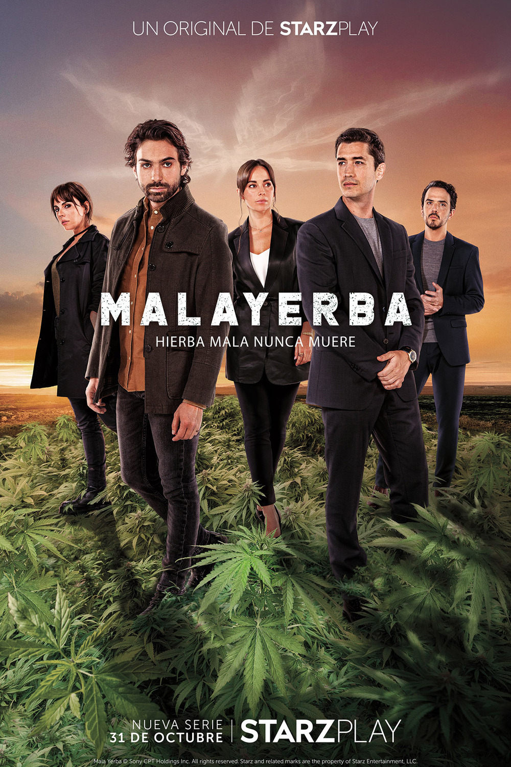 Extra Large TV Poster Image for MalaYerba 