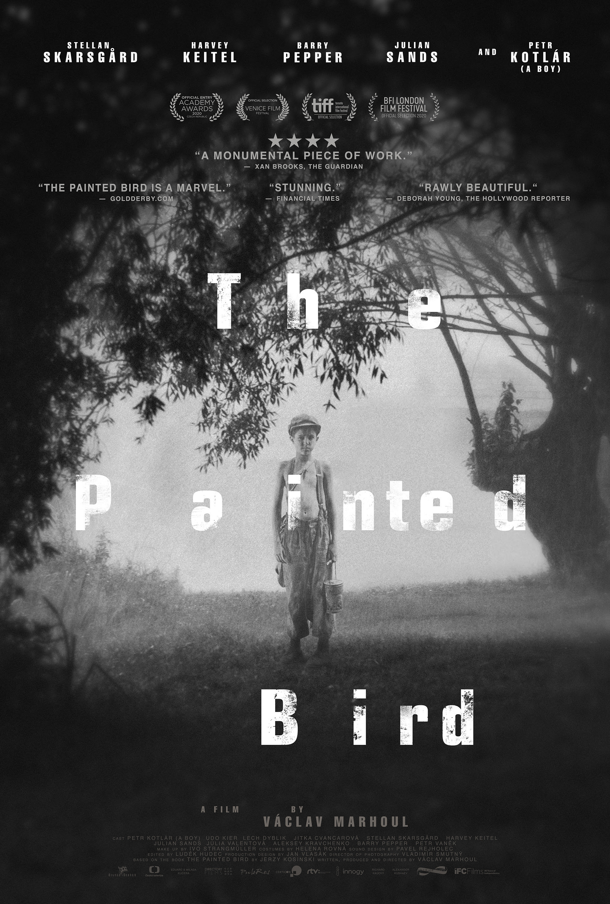 Mega Sized Movie Poster Image for The Painted Bird (#3 of 3)