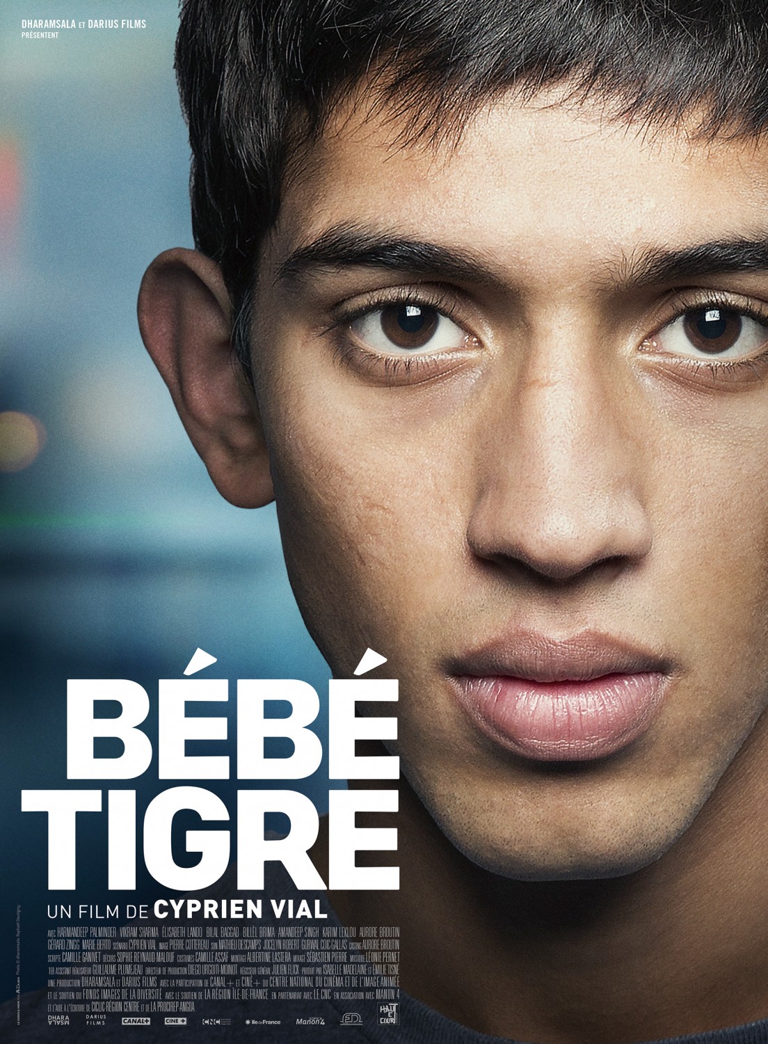 Extra Large Movie Poster Image for Bébé tigre 