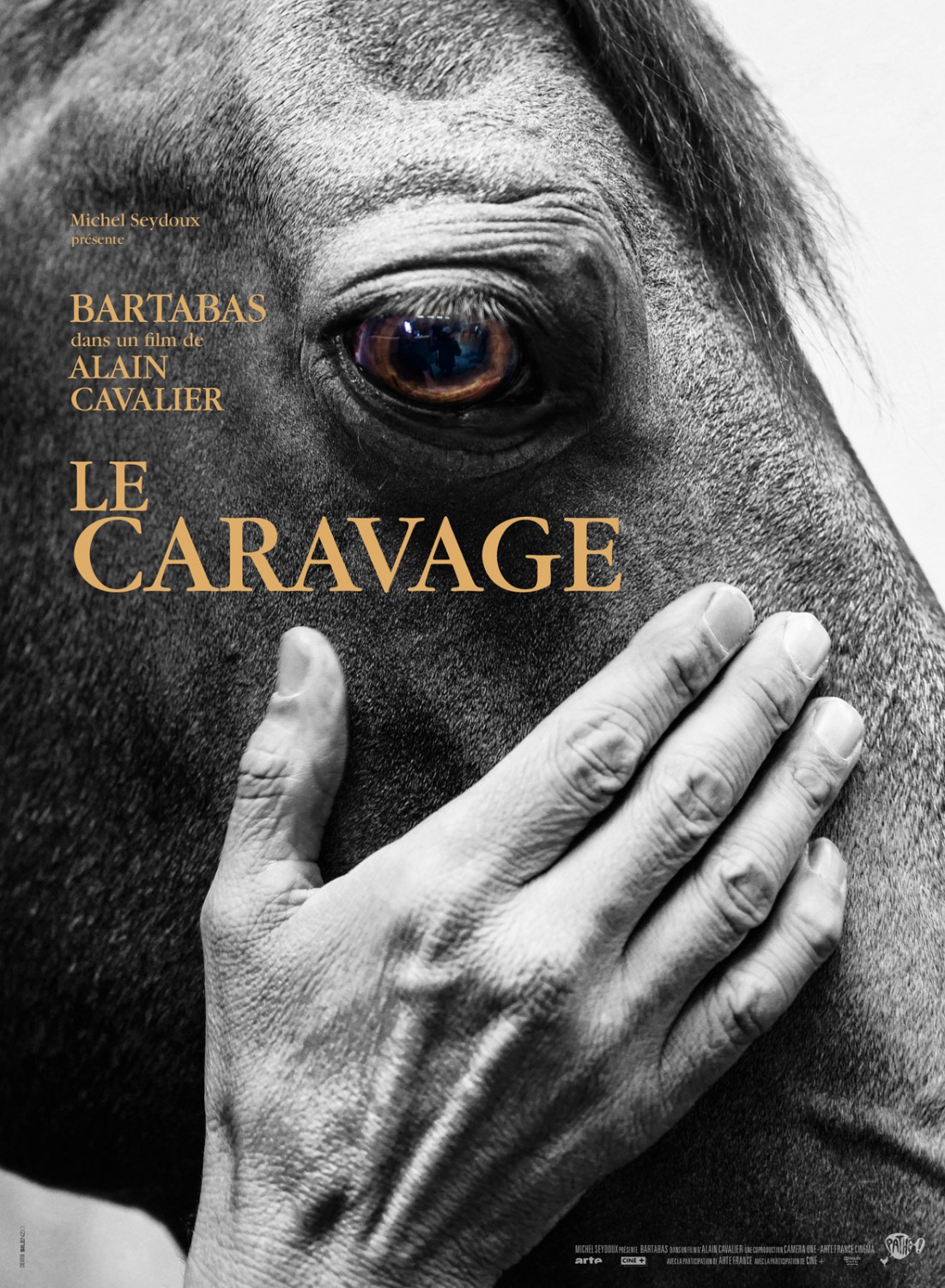 Extra Large Movie Poster Image for Le Caravage 