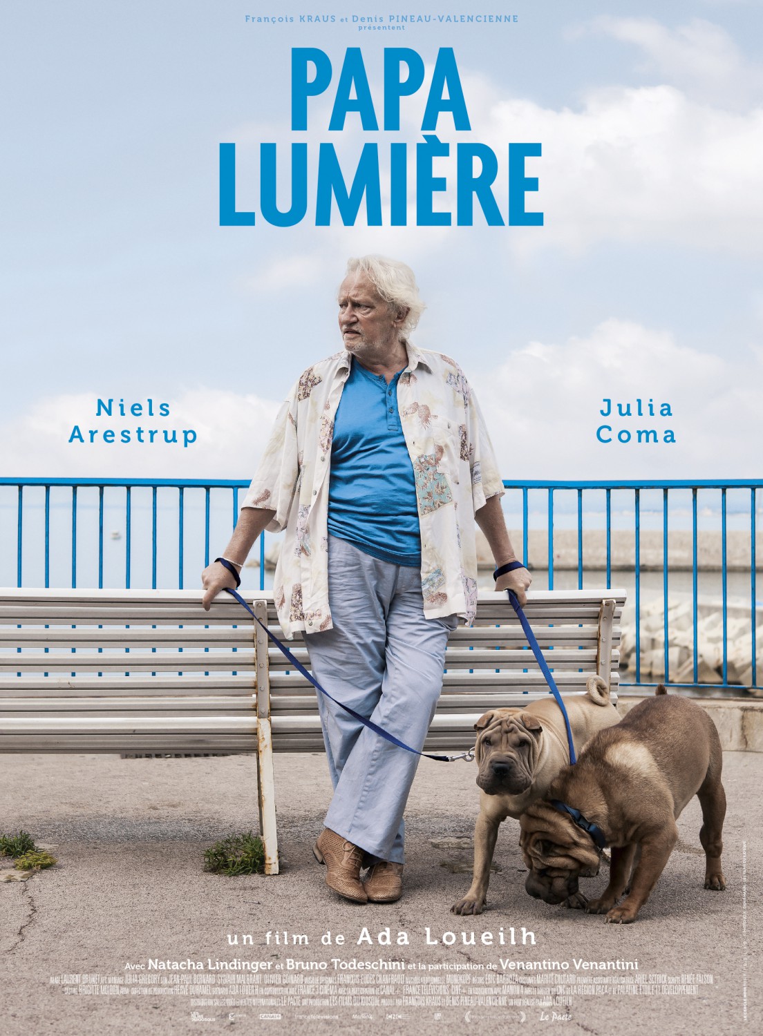 Extra Large Movie Poster Image for Papa lumière 