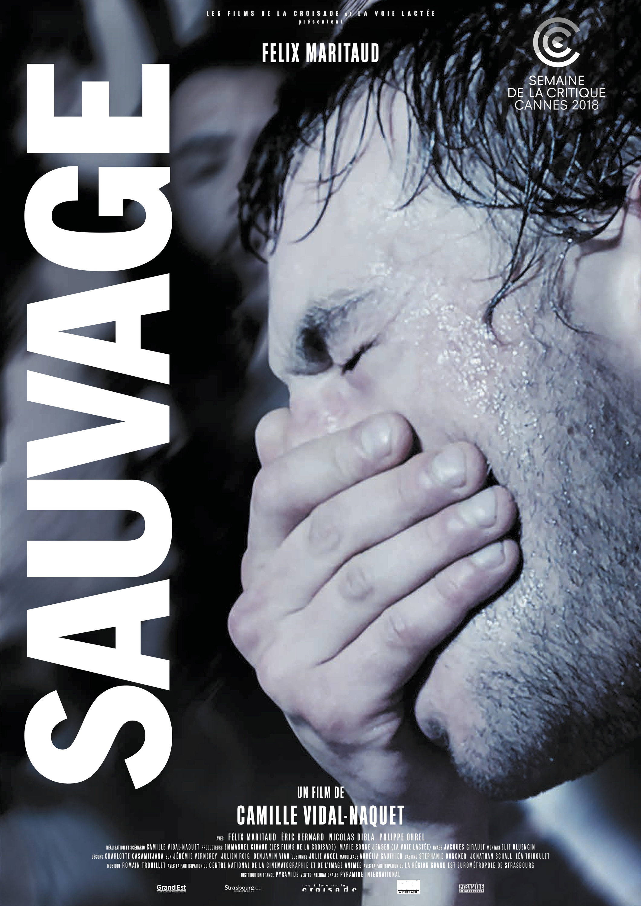 Mega Sized Movie Poster Image for Sauvage (#1 of 7)