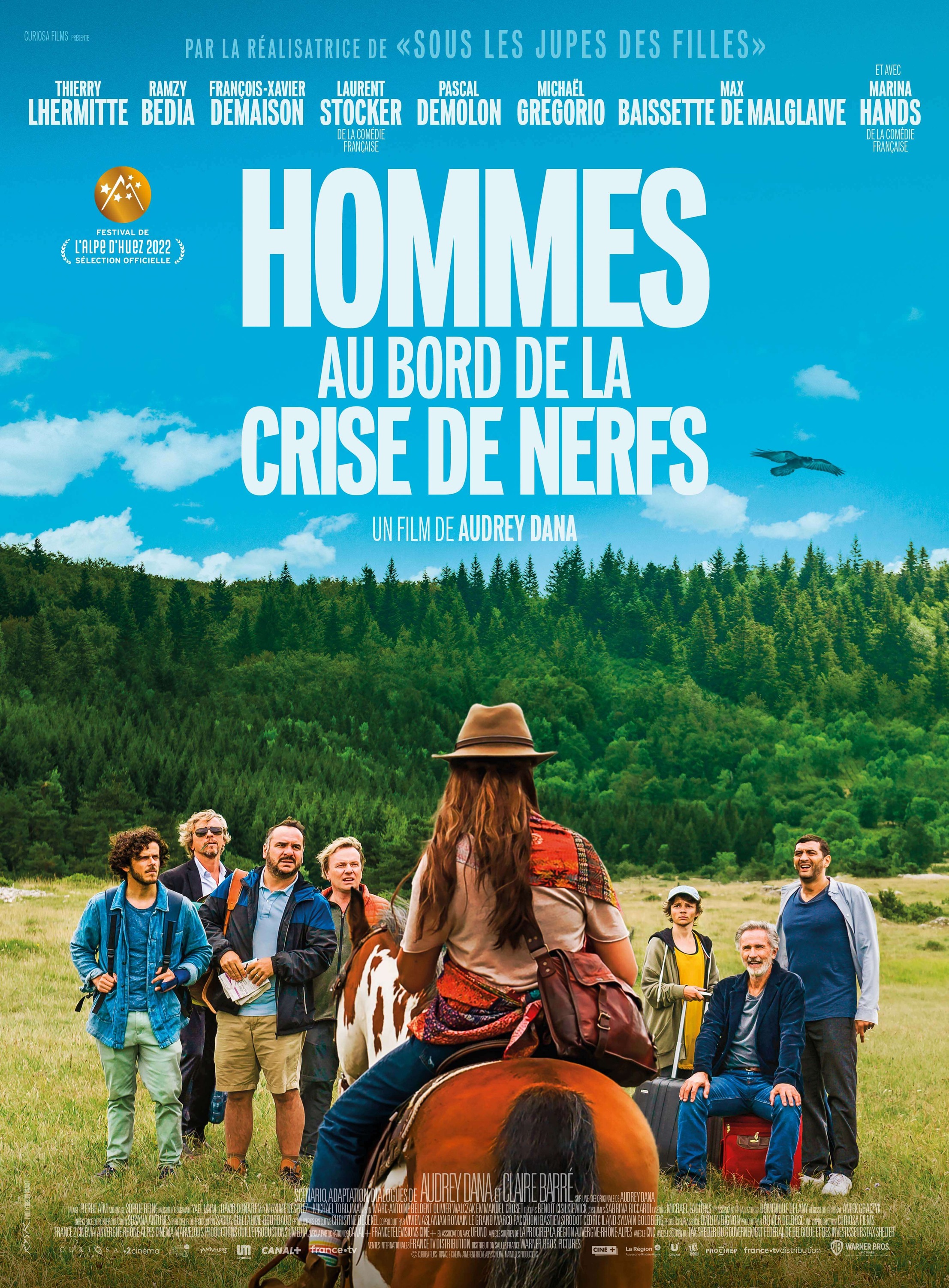 Mega Sized Movie Poster Image for Hommes au bord de la crise de nerfs 