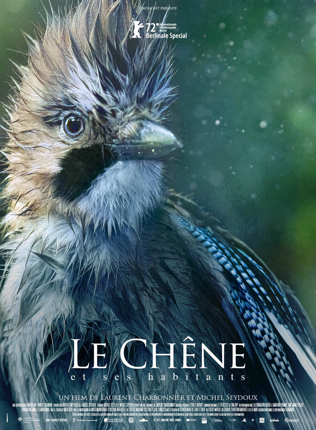 Extra Large Movie Poster Image for Le chêne (#3 of 4)
