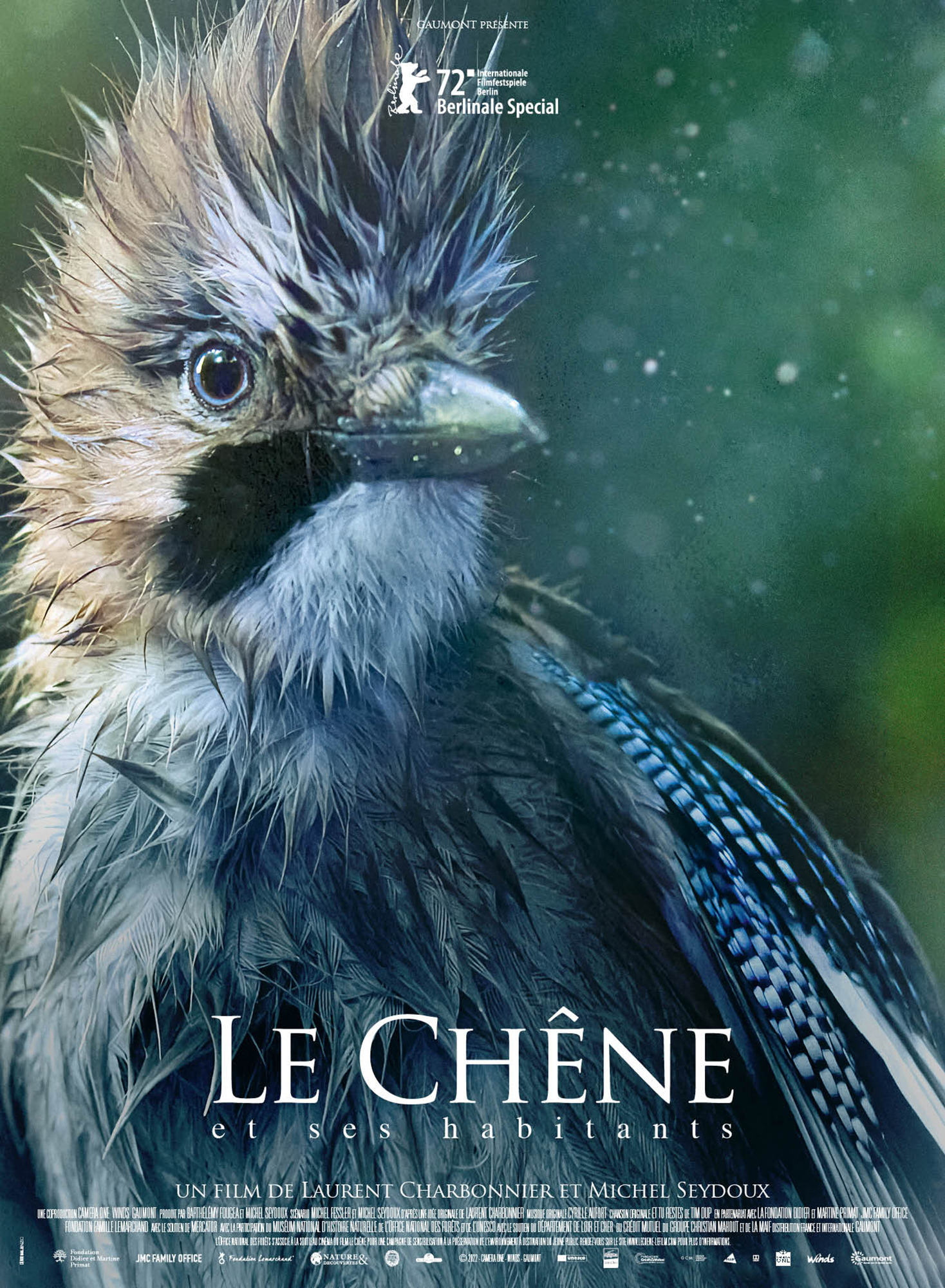 Mega Sized Movie Poster Image for Le chêne (#3 of 4)