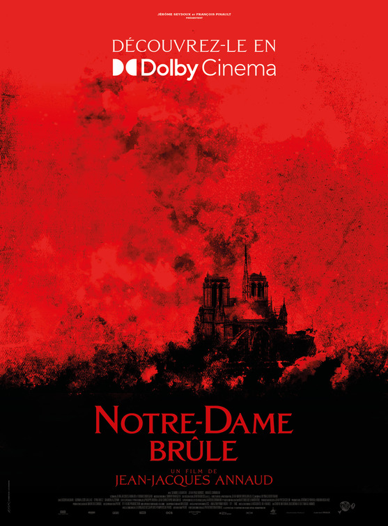 Notre-Dame brûle Movie Poster