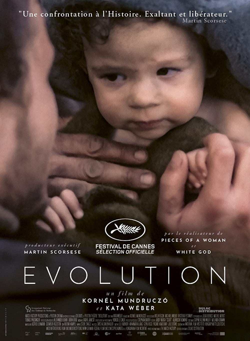 Extra Large Movie Poster Image for Evolution 