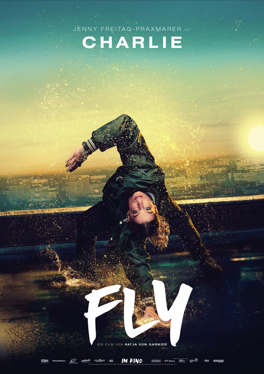 Extra Large Movie Poster Image for Fly (#6 of 11)