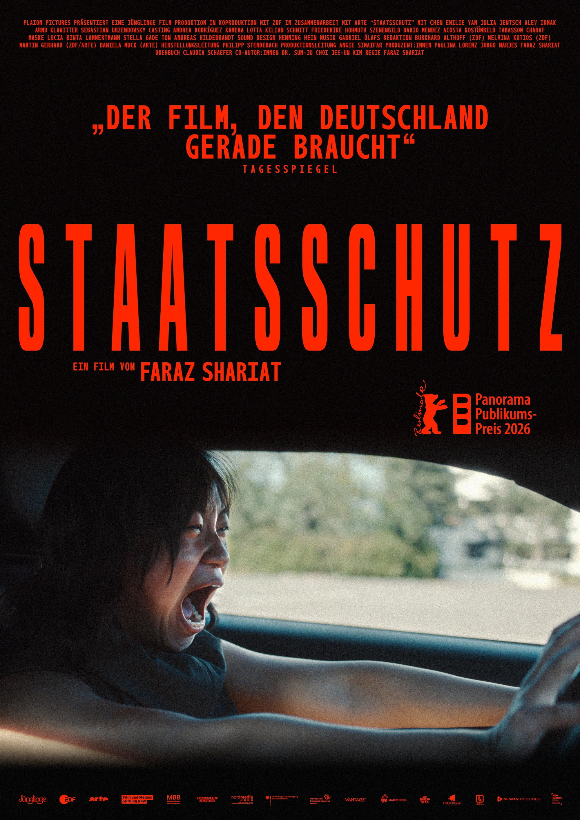 Mega Sized Movie Poster Image for Staatsschutz 