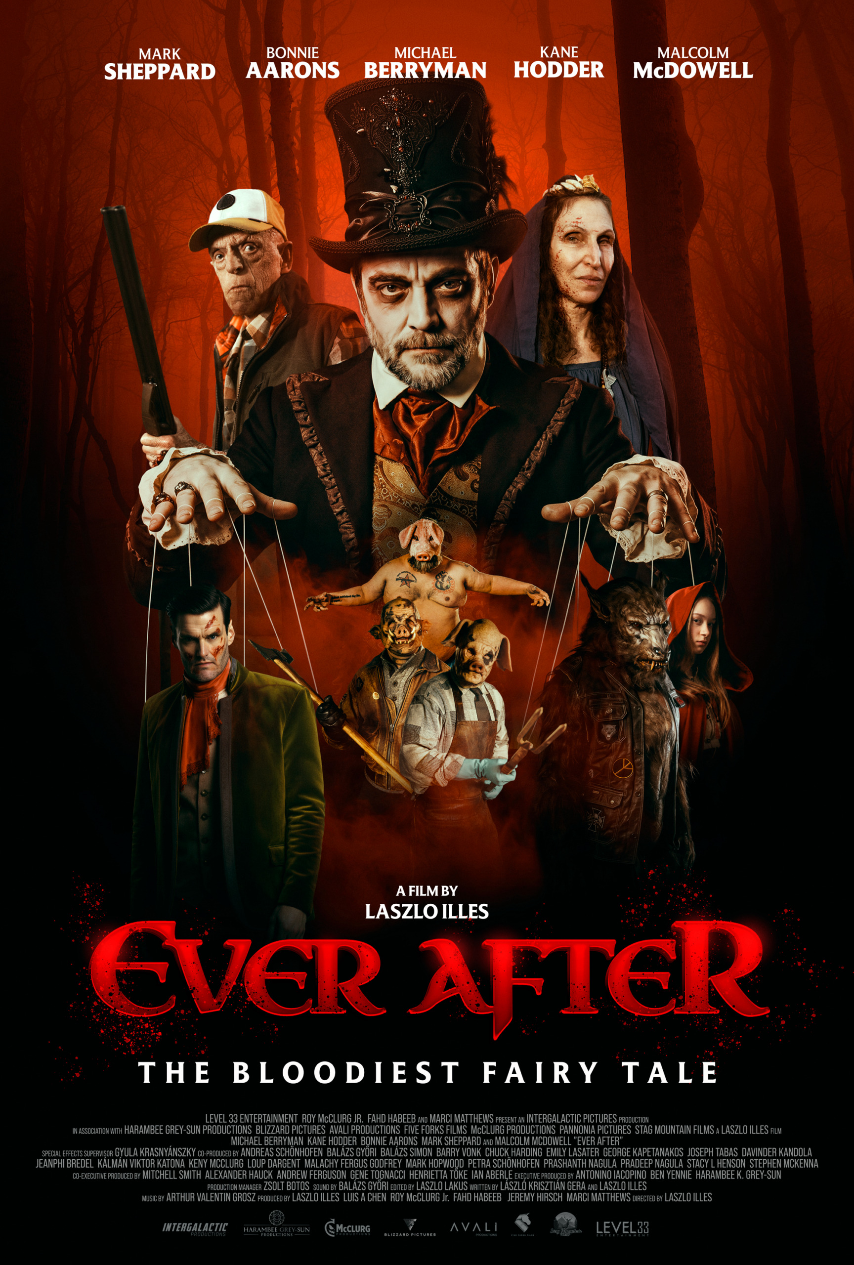 Mega Sized Movie Poster Image for Ever After 