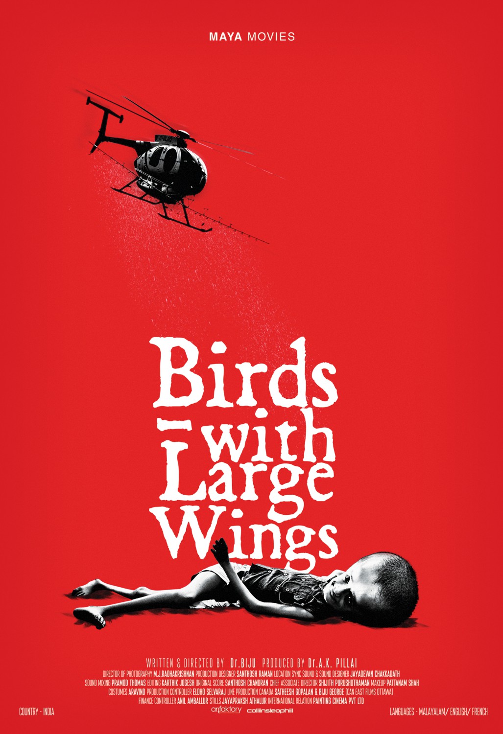 Extra Large Movie Poster Image for Birds with Large Wings (#1 of 2)