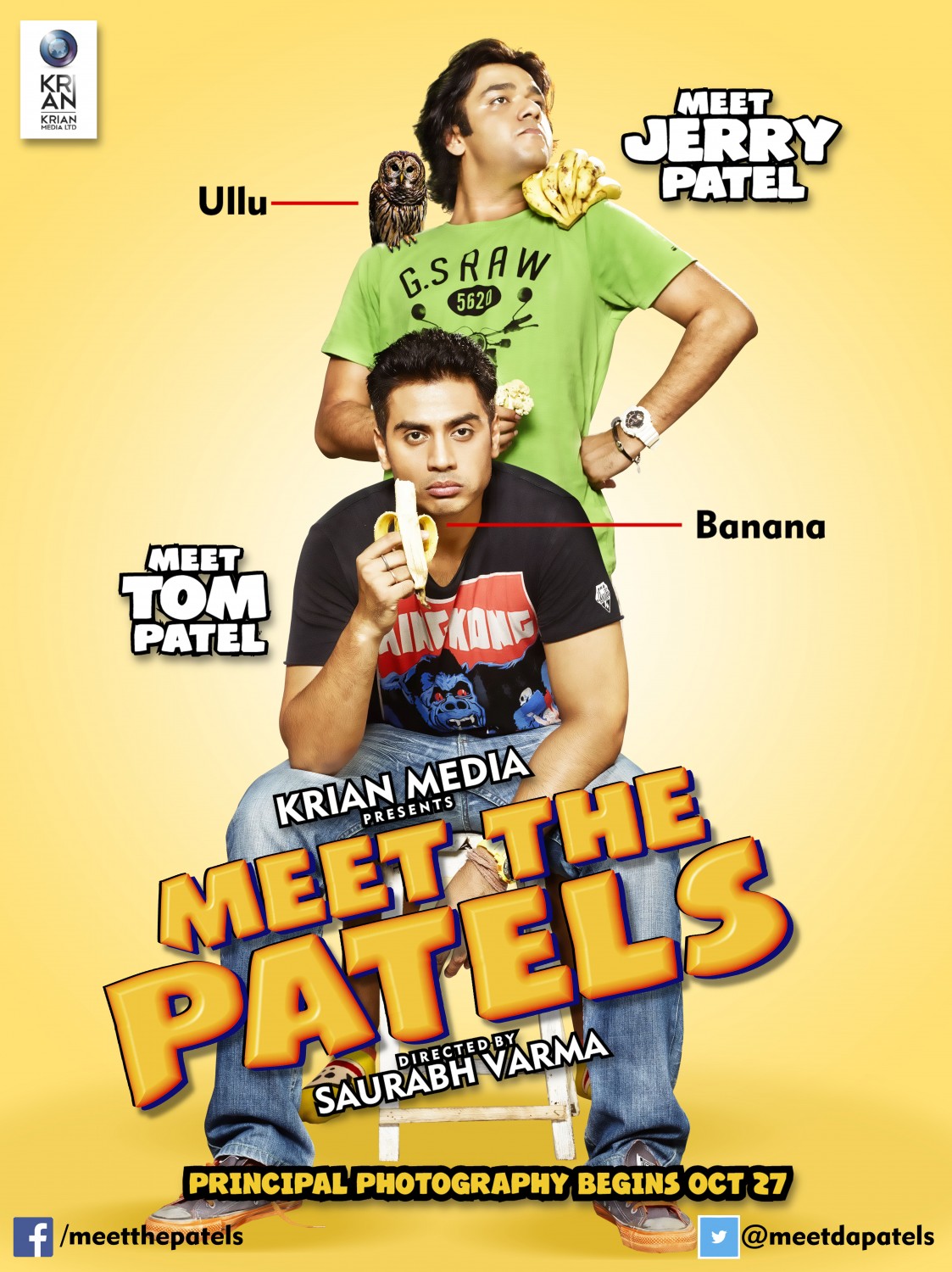 Extra Large Movie Poster Image for Meet the Patels 