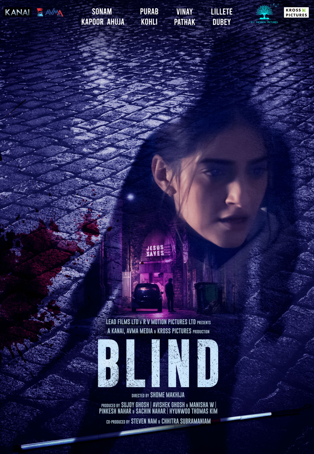 Extra Large Movie Poster Image for Blind (#2 of 2)