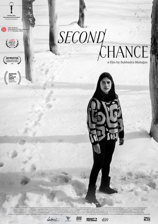 Second Chance Movie Poster